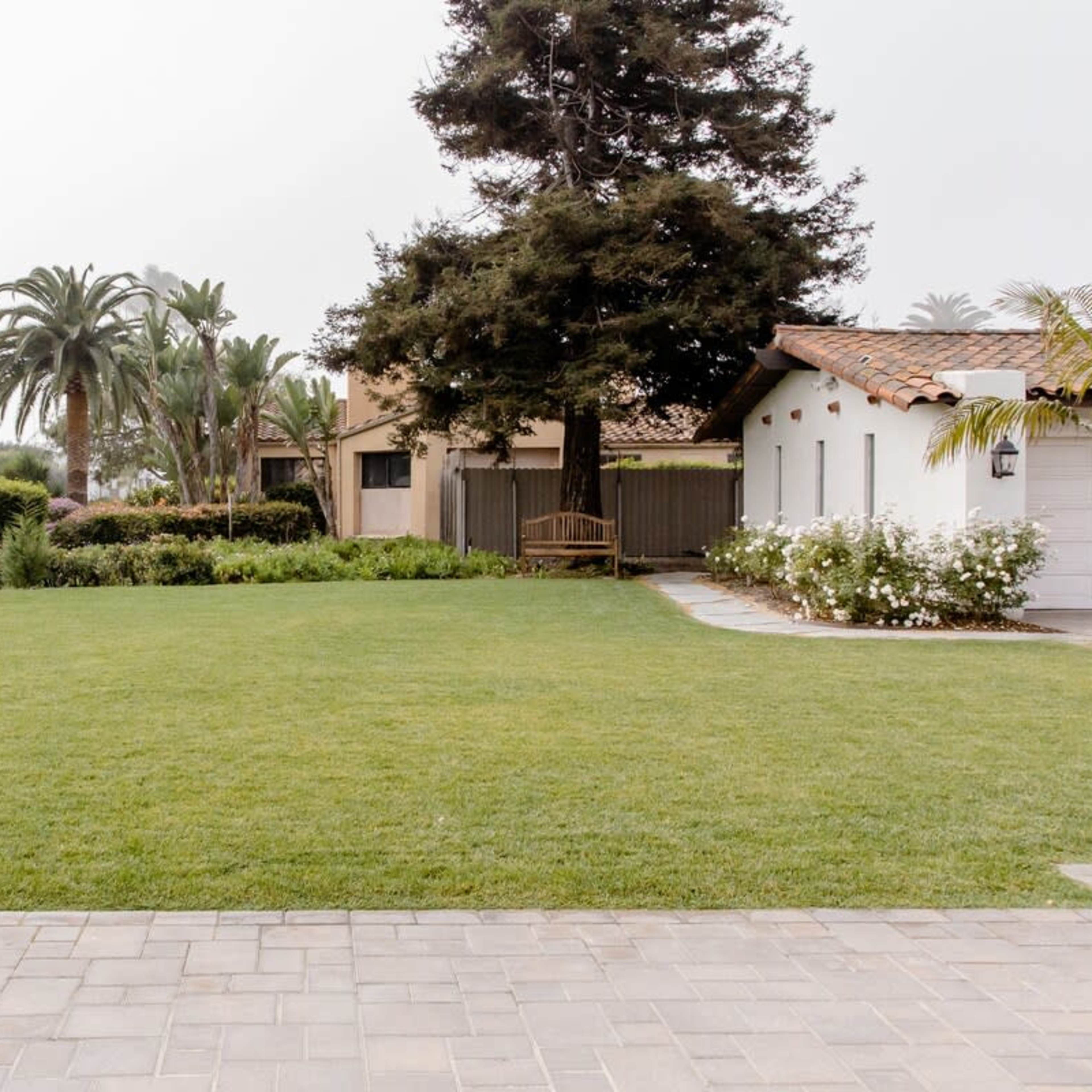 A manicured lawn is surrounded by palm trees and flowering shrubs near a white building with a tiled roof.