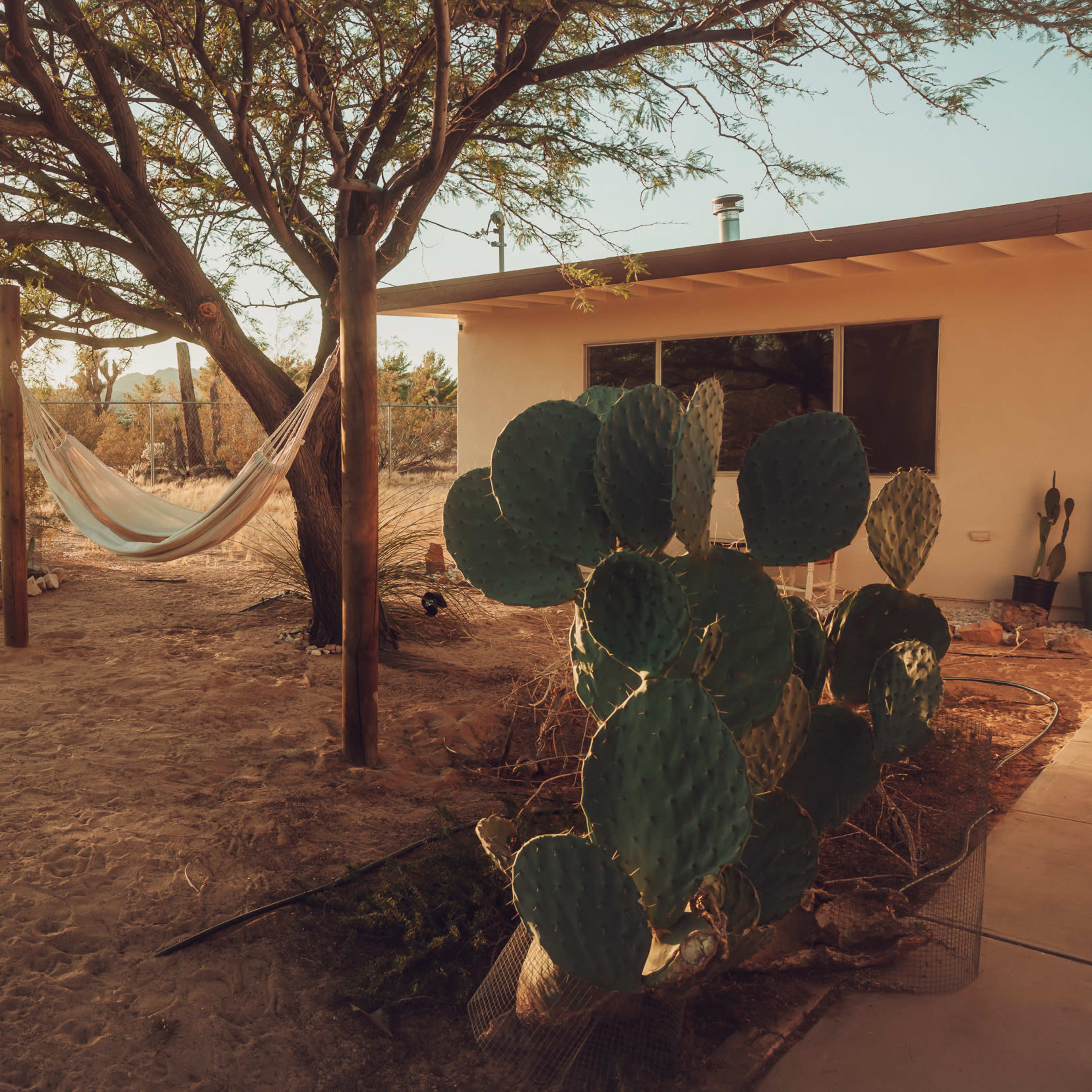 The scene features a hammock hanging between two posts under a tree in a sandy outdoor space beside a house, with a cactus in the foreground.