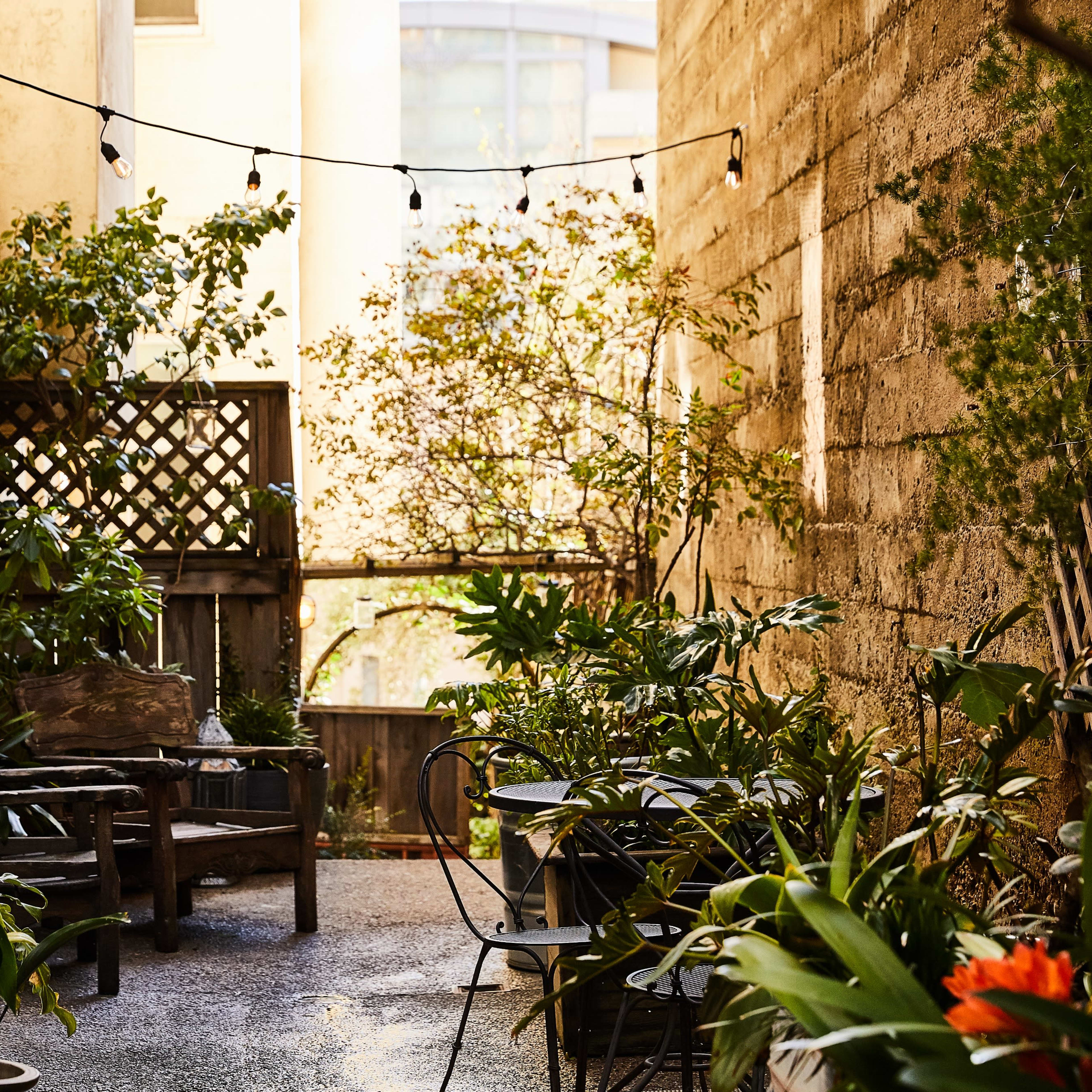A narrow courtyard lined with plants, featuring wooden furniture and string lights overhead.