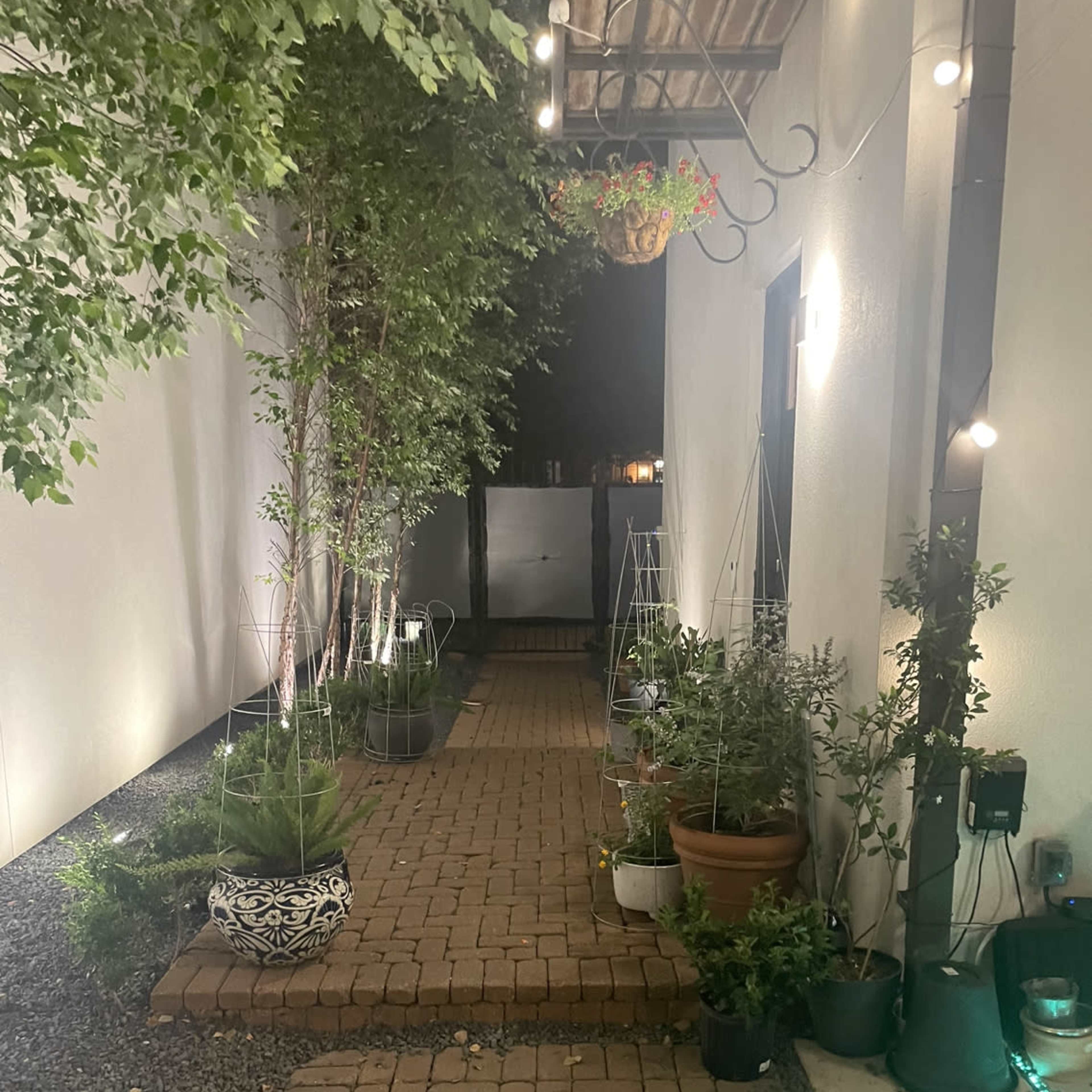 A narrow pathway lined with potted plants, leading to a darkened doorway under decorative lights.