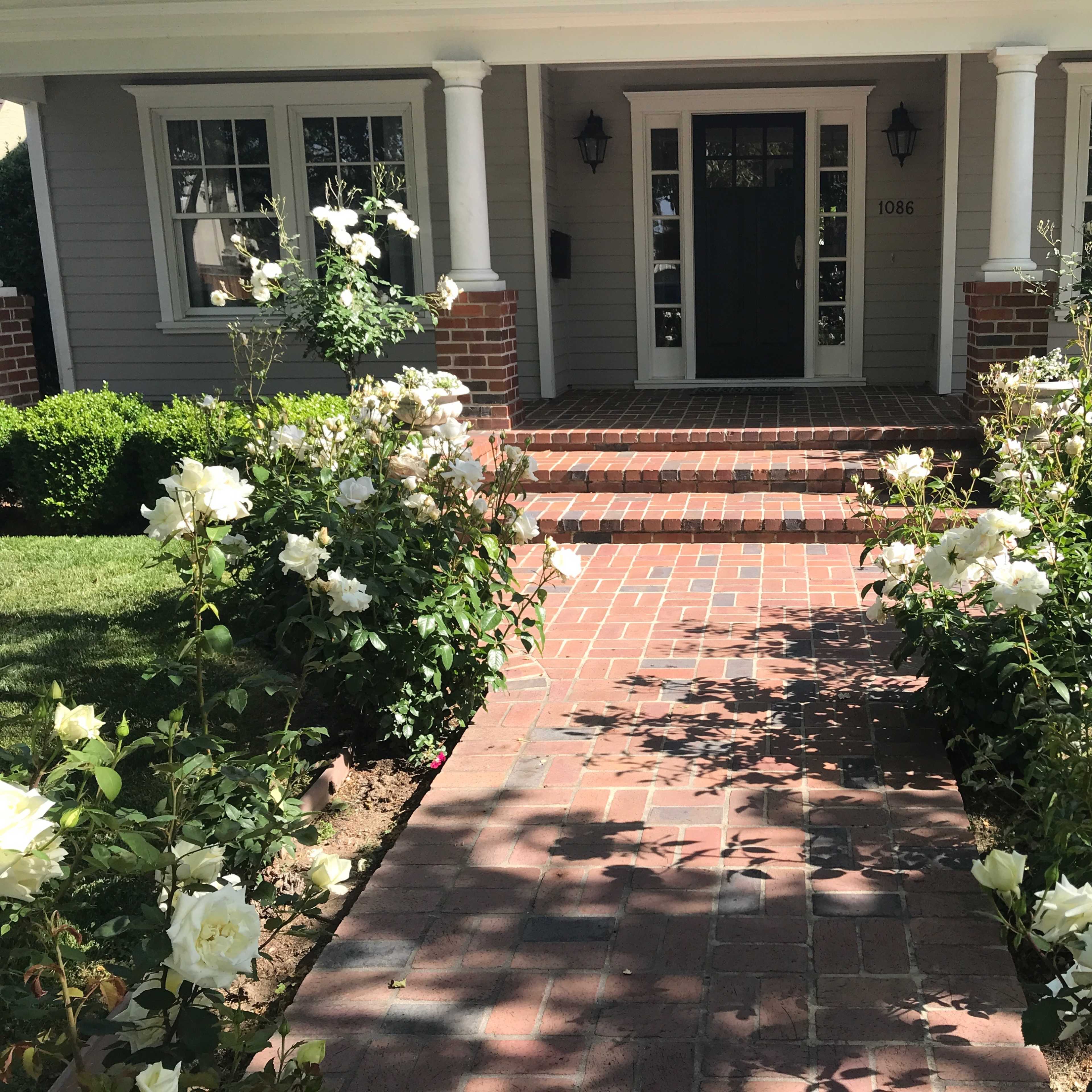 A brick pathway leads to a green front door, flanked by blooming rose bushes and neatly trimmed hedges.