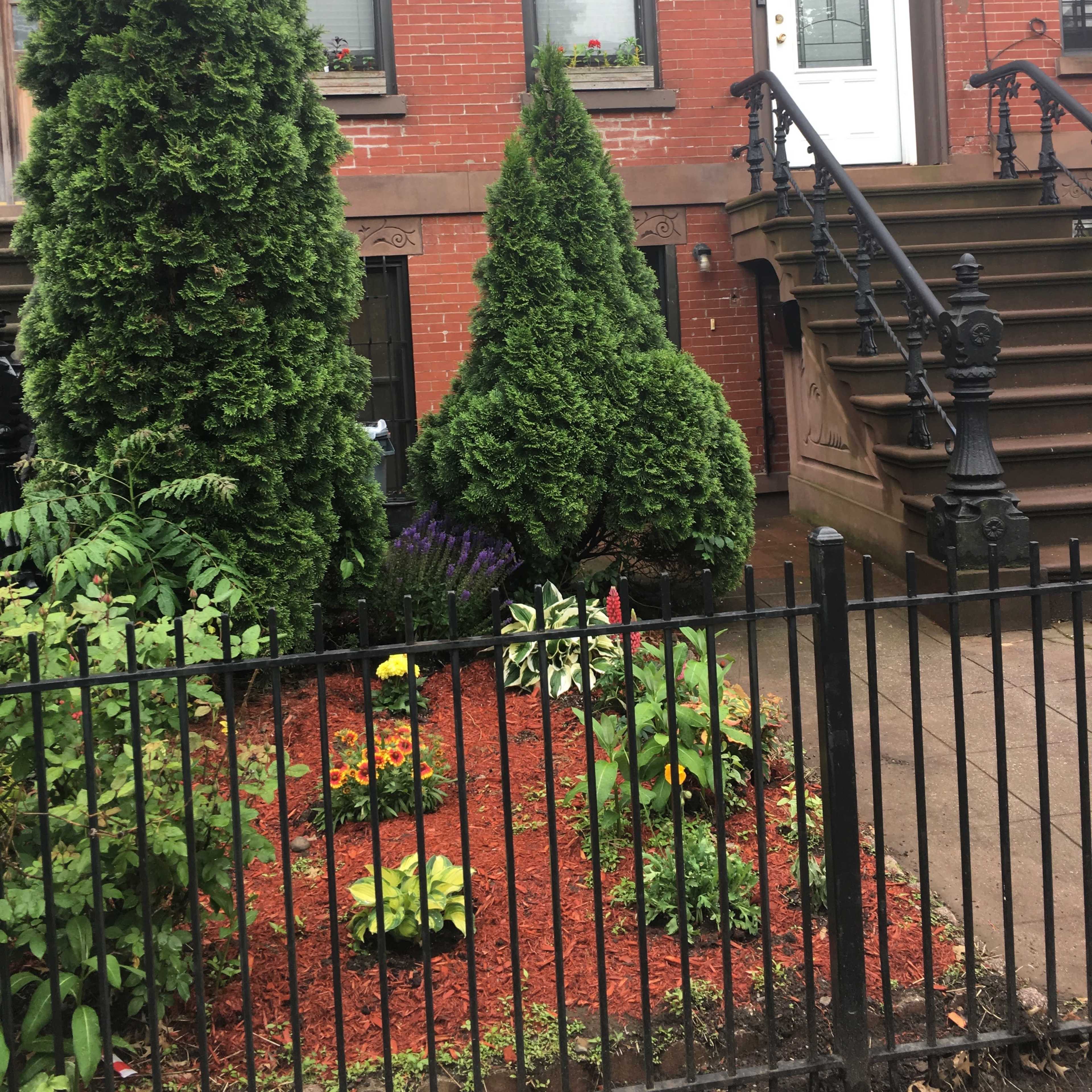 A red brick building features a front garden with manicured shrubs and colorful flowers, bordered by a black iron fence.