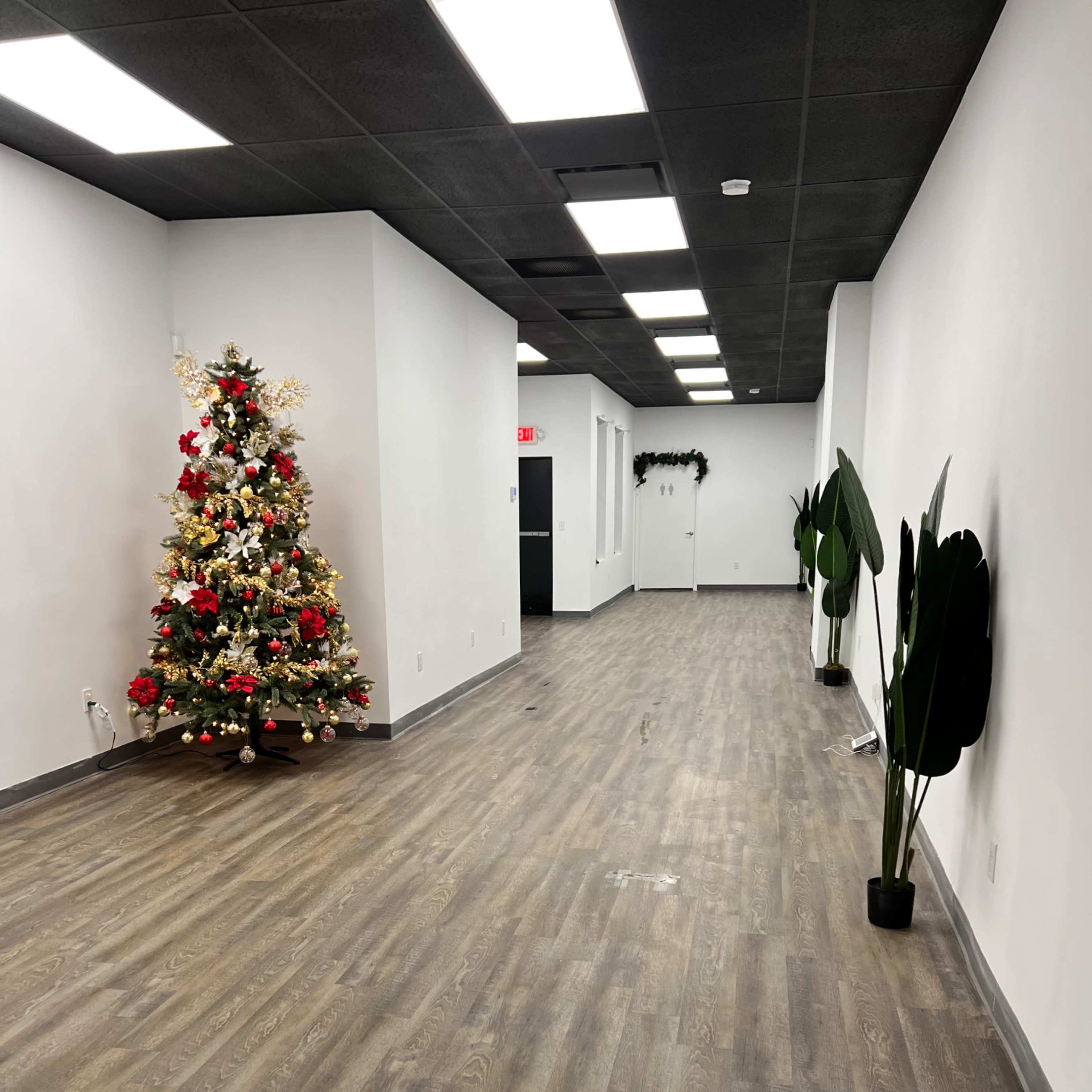 A modern hallway with wood-look flooring, a decorated Christmas tree on the left, and potted plants along the walls.