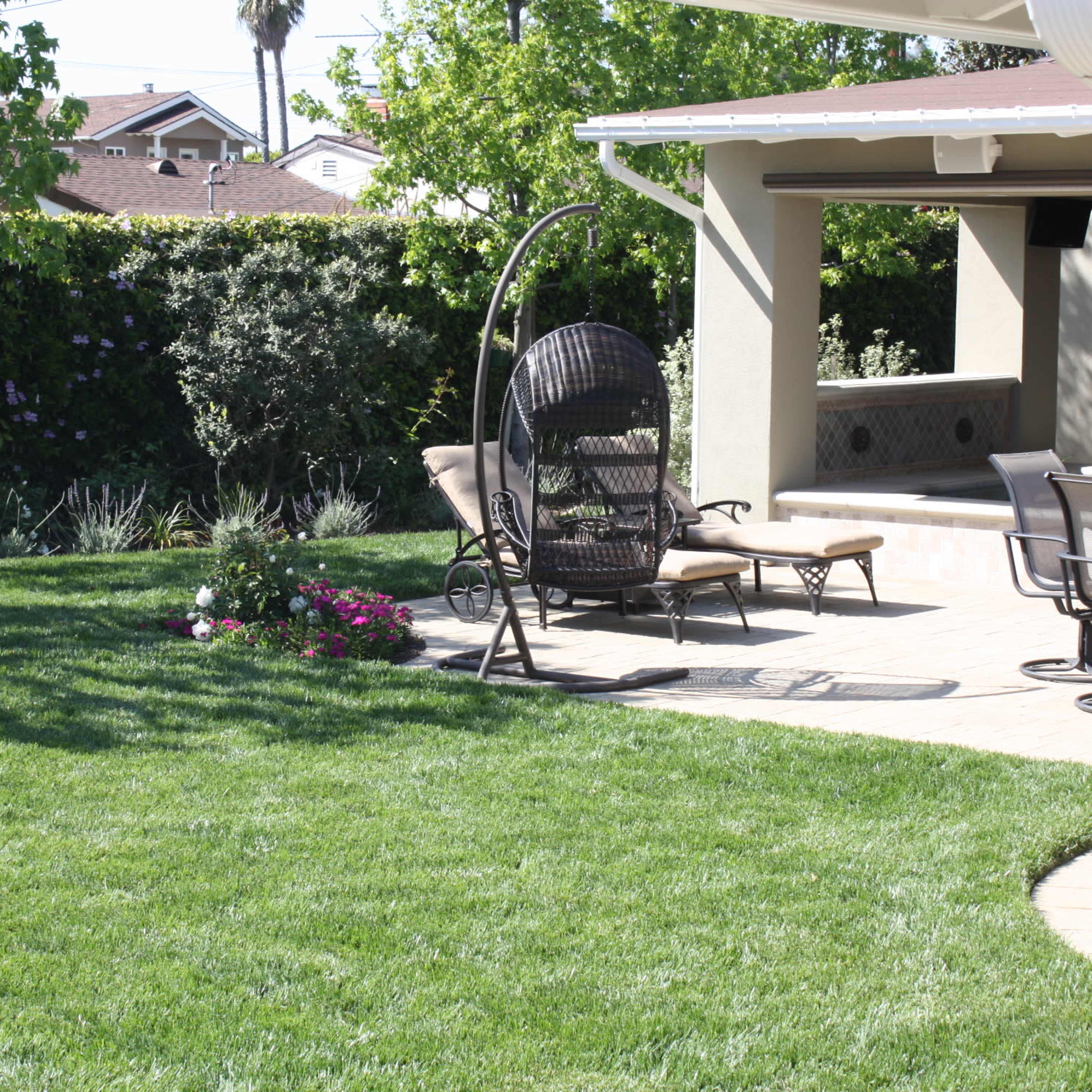 A grassy backyard with a hanging chair, two lounge chairs, and surrounding greenery.