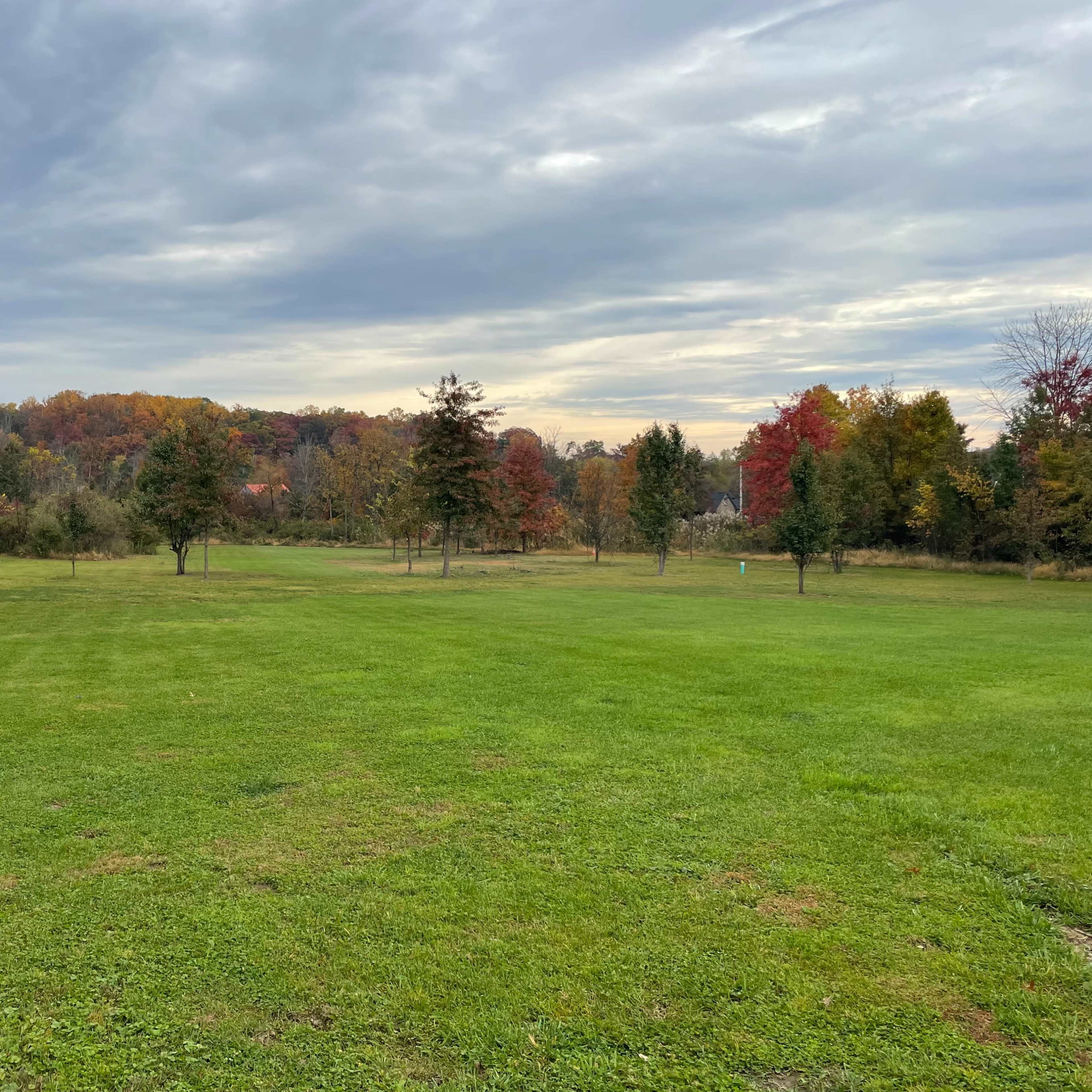 A wide, grassy field is visible, bordered by trees with colorful autumn leaves under a cloudy sky.