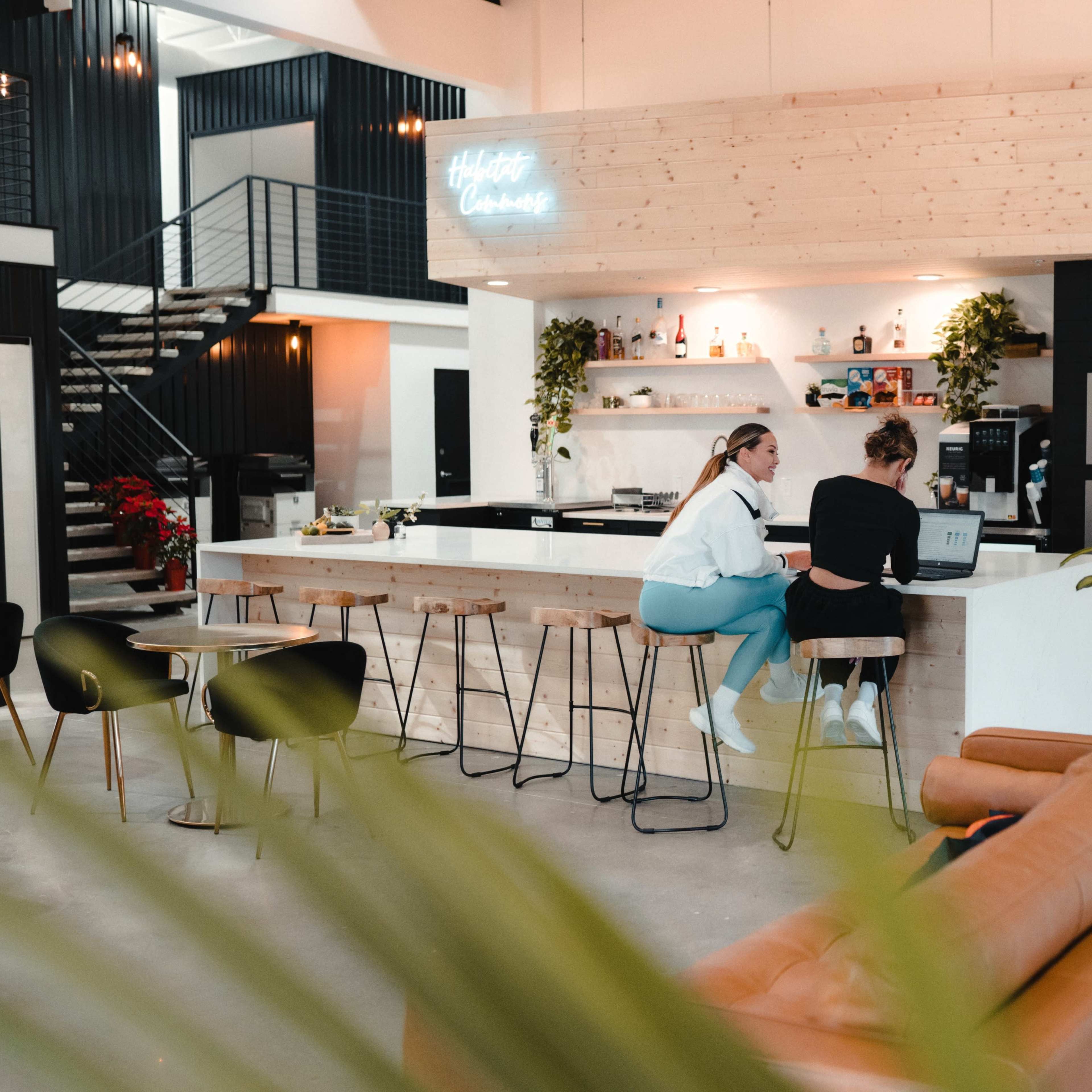 Two individuals sit on high stools at a modern kitchen counter in a brightly lit, minimalist space with a green plant in the foreground.