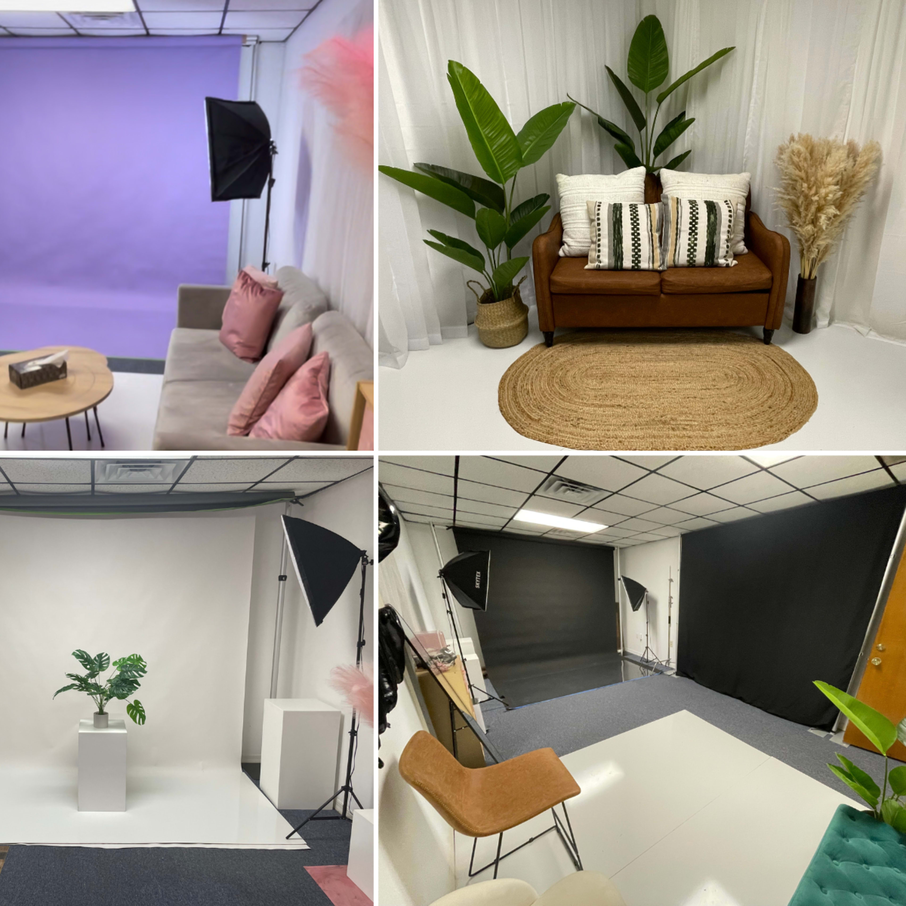 The Tampa Studio - Cozy and Versatile Photography Studio in North Tampa Image in Lake Magdalene, Tampa, FL