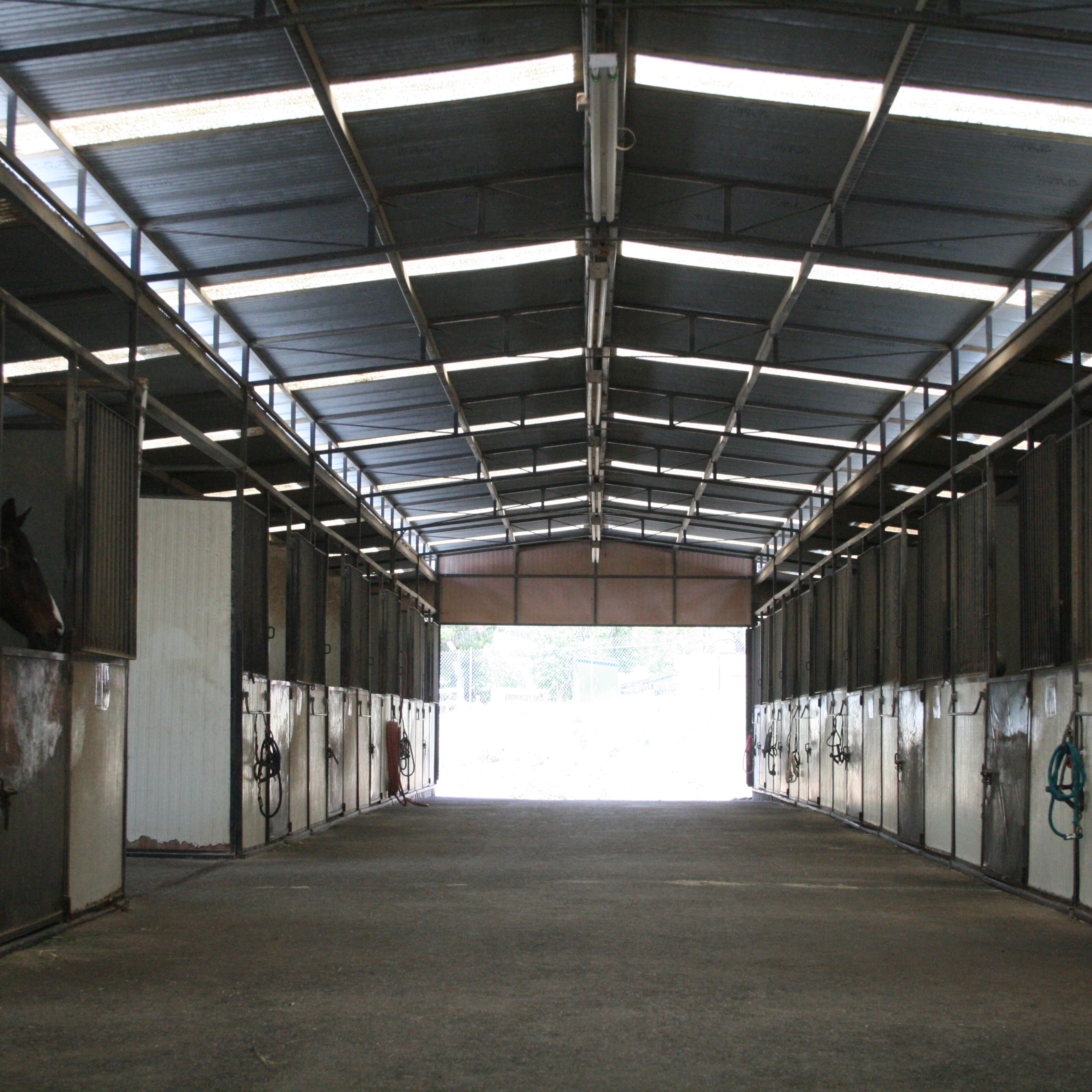 The interior of a horse stable with several stalls lining either side of a central aisle leading to an open entrance.