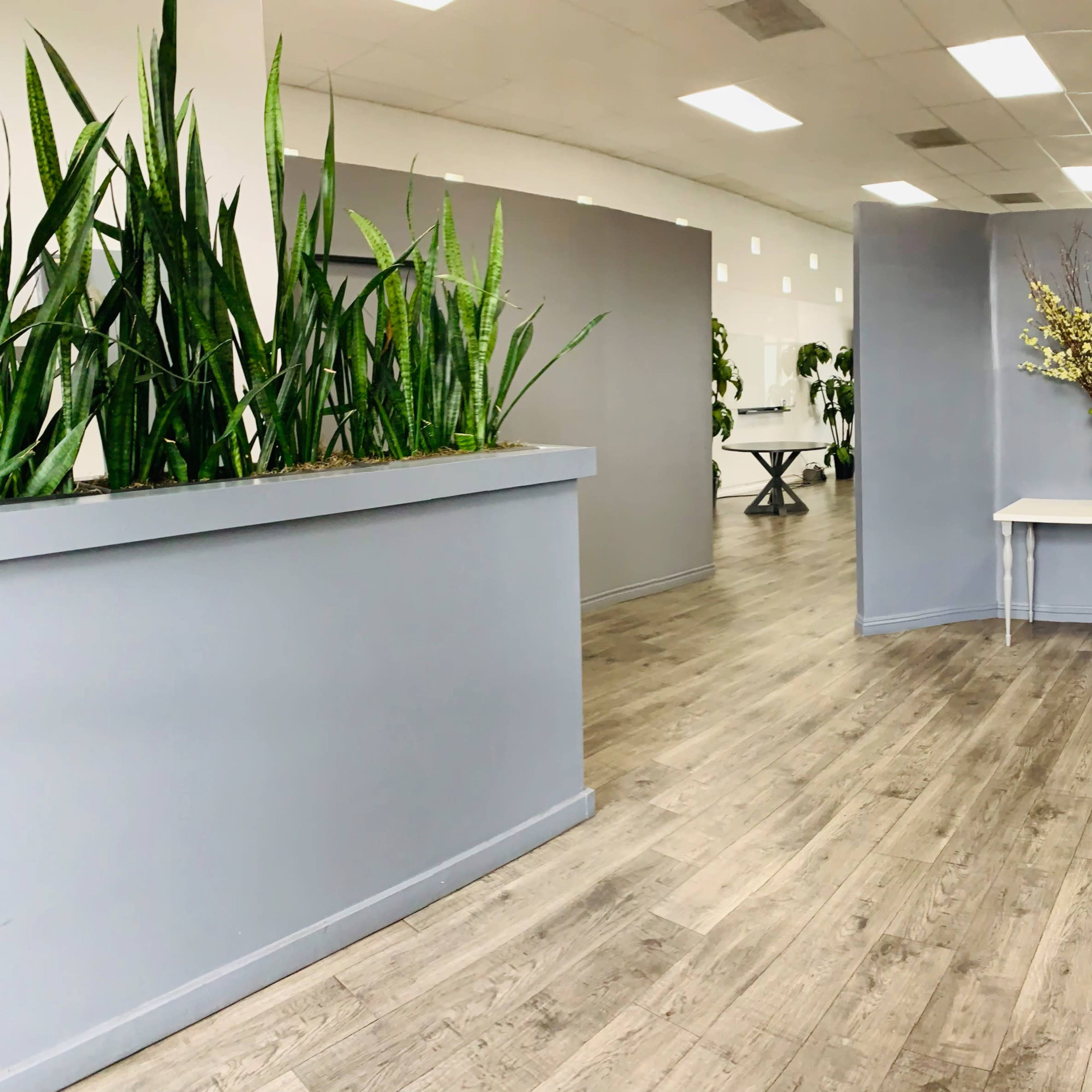 A spacious interior with gray walls, wooden flooring, and tall plants in planter boxes, leading to a white table with a decorative vase.
