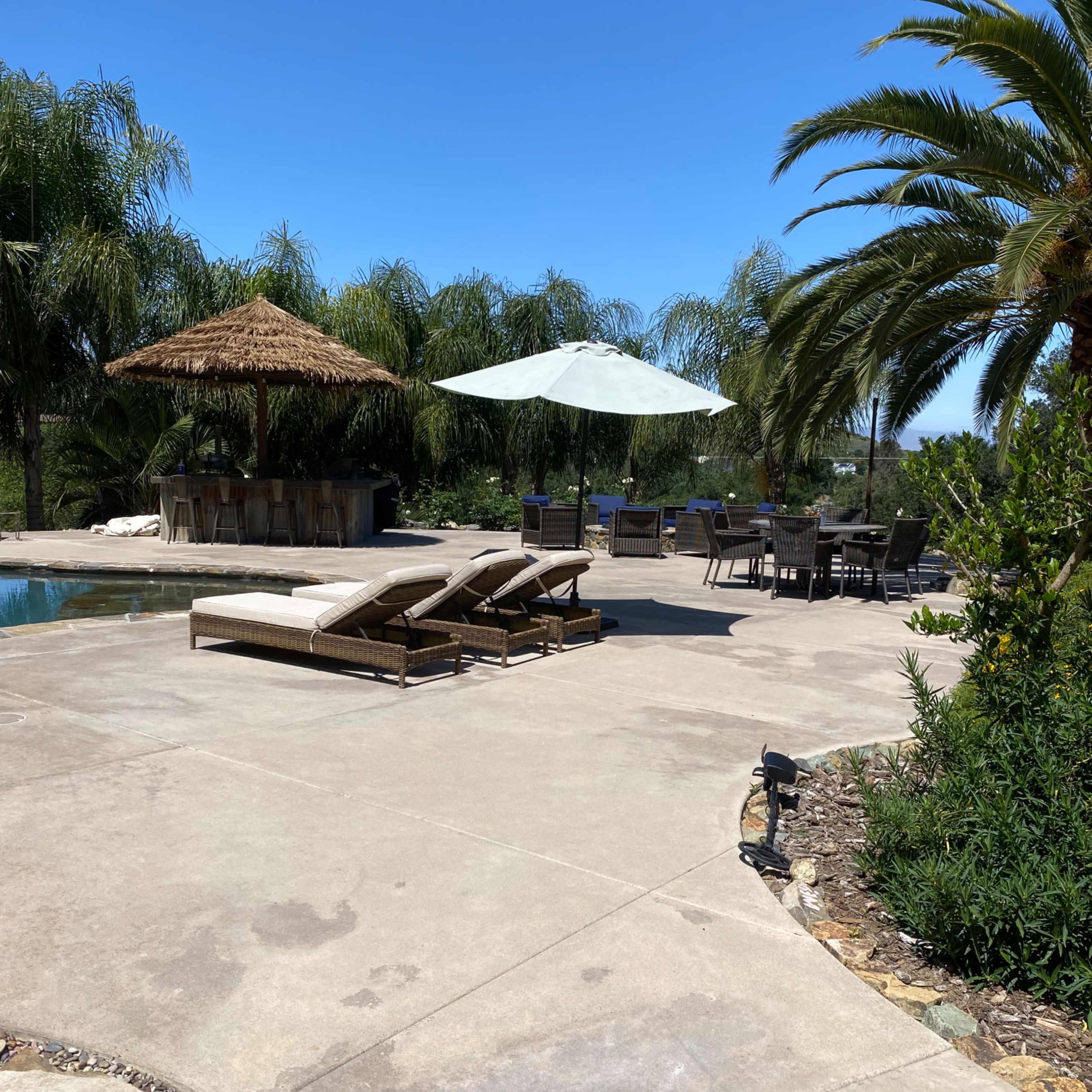 A sunny outdoor area with lounge chairs near a pool, a thatched umbrella, and a dining set surrounded by palm trees.