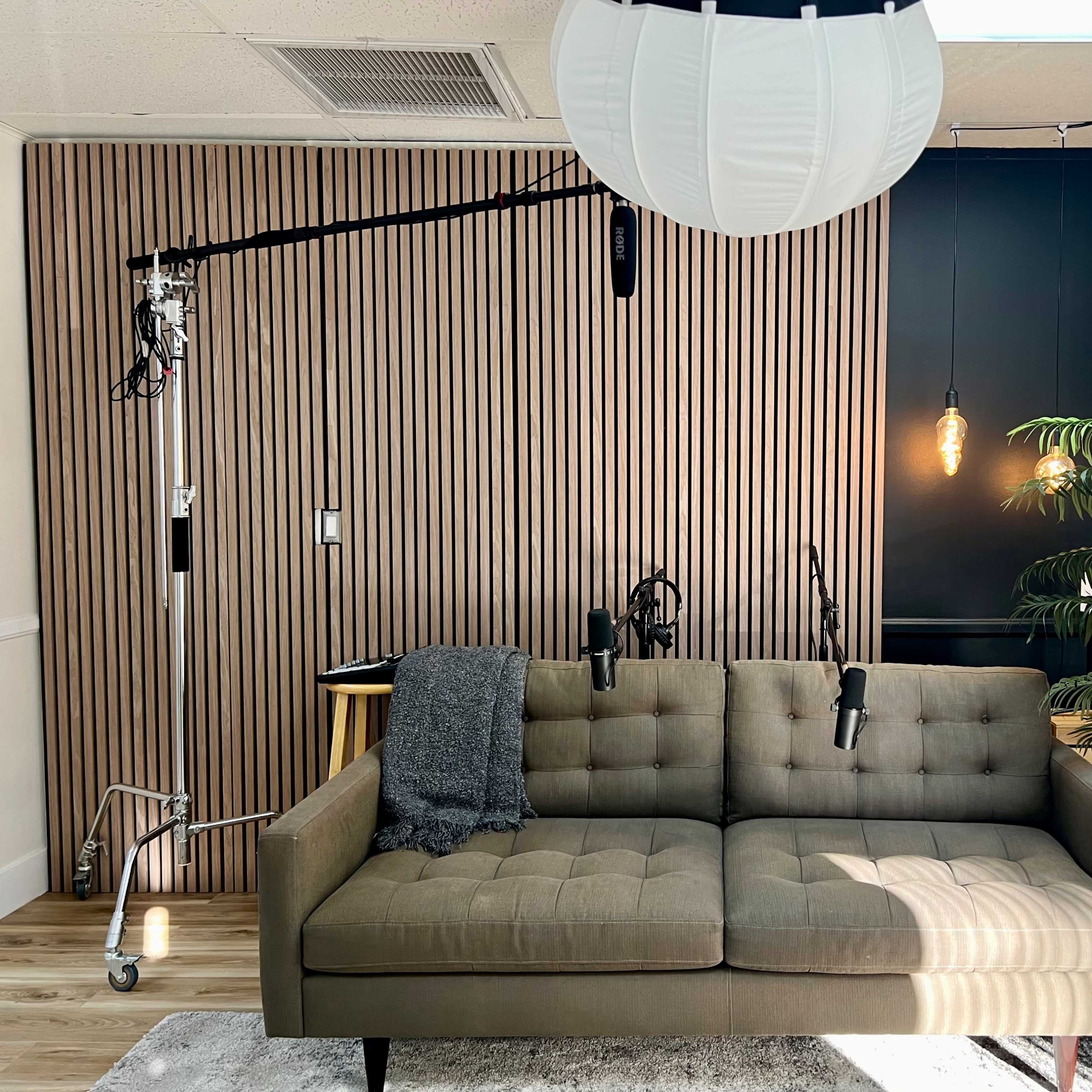 A modern living space featuring a brown sofa with microphones on a stand, a tall indoor plant, and a wooden accent wall.
