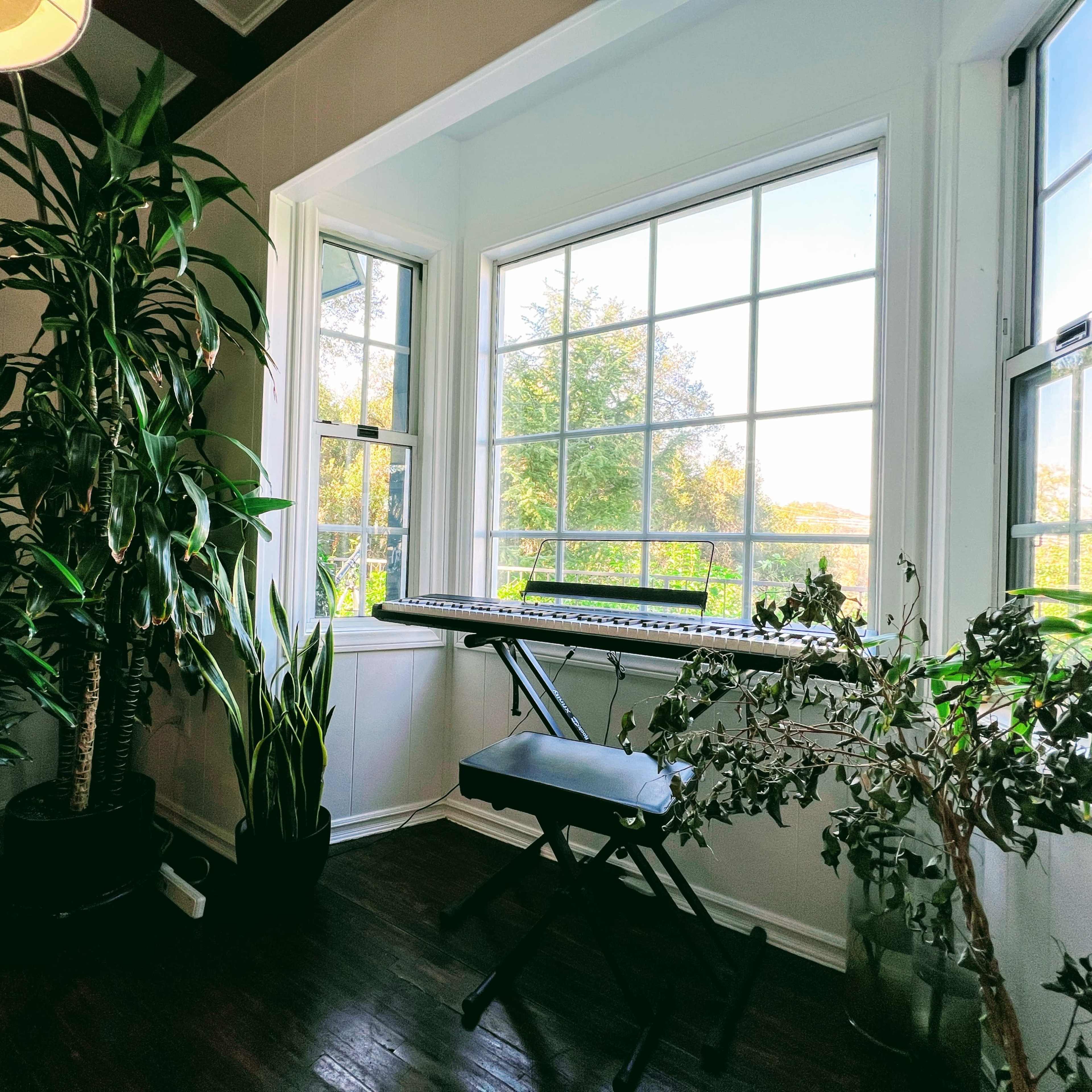 A bright room with large windows, two potted plants, and a keyboard set on a stand.