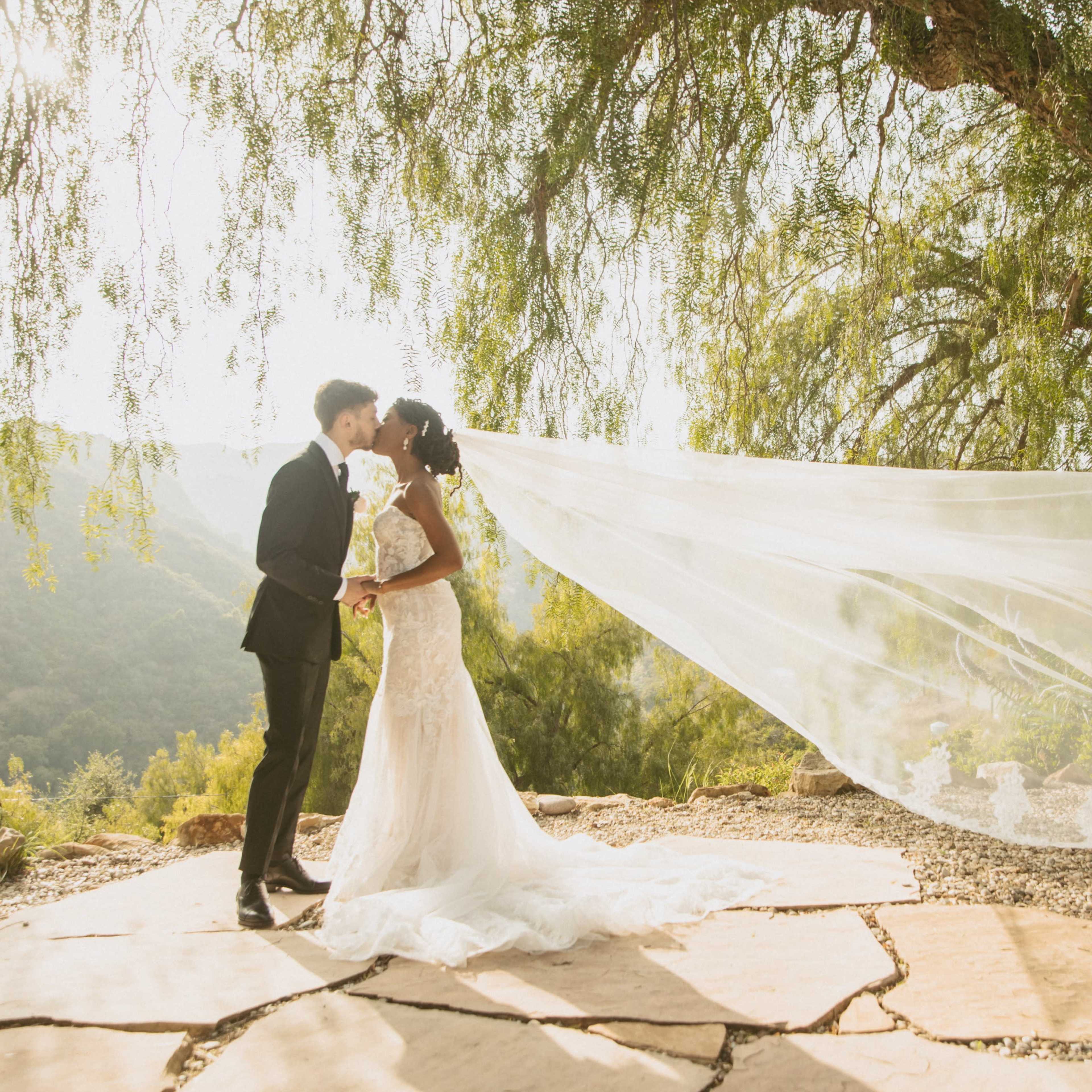 A couple shares a kiss under a tree while the bride's veil flows in the breeze.