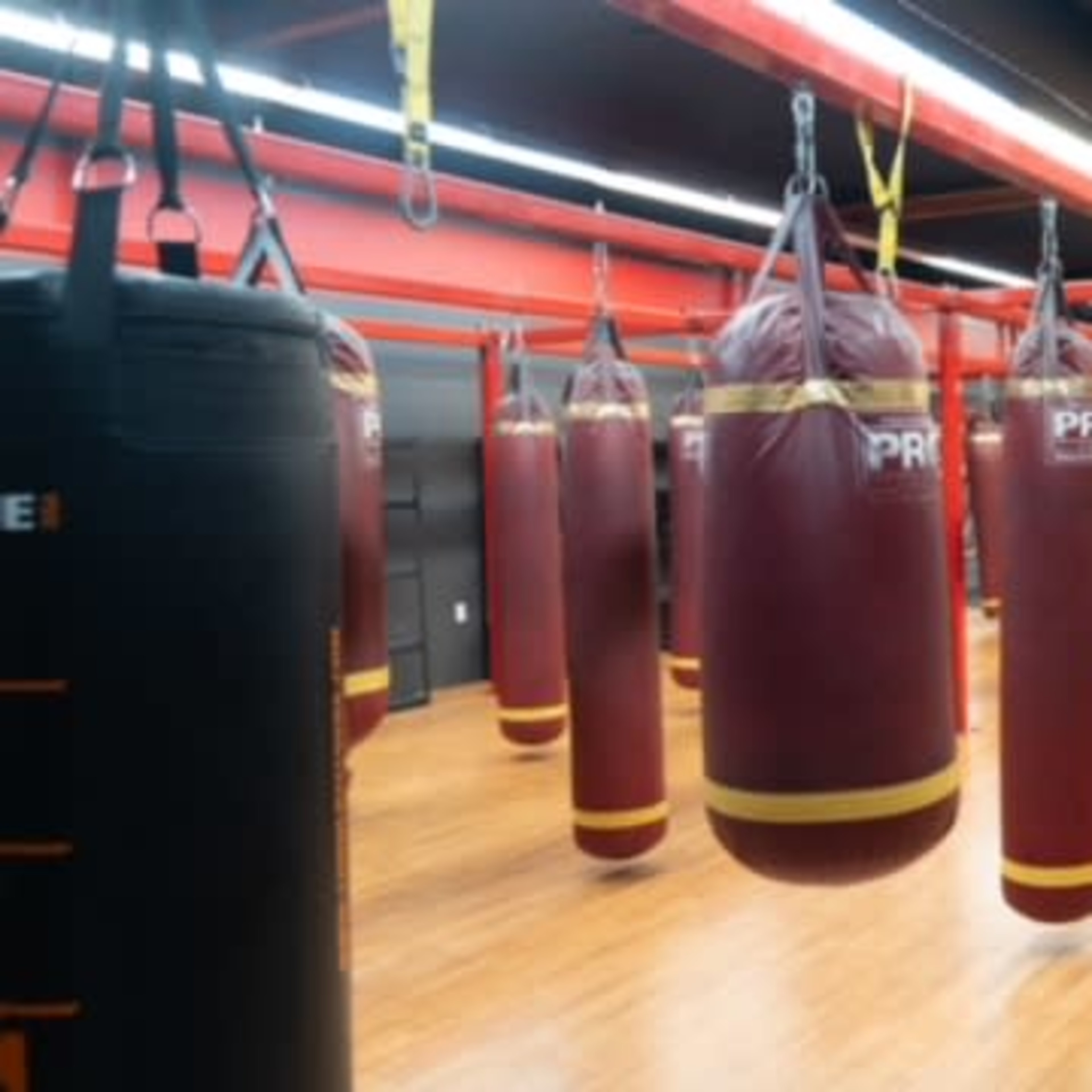 A gym interior with several hanging boxing bags arranged in a row.