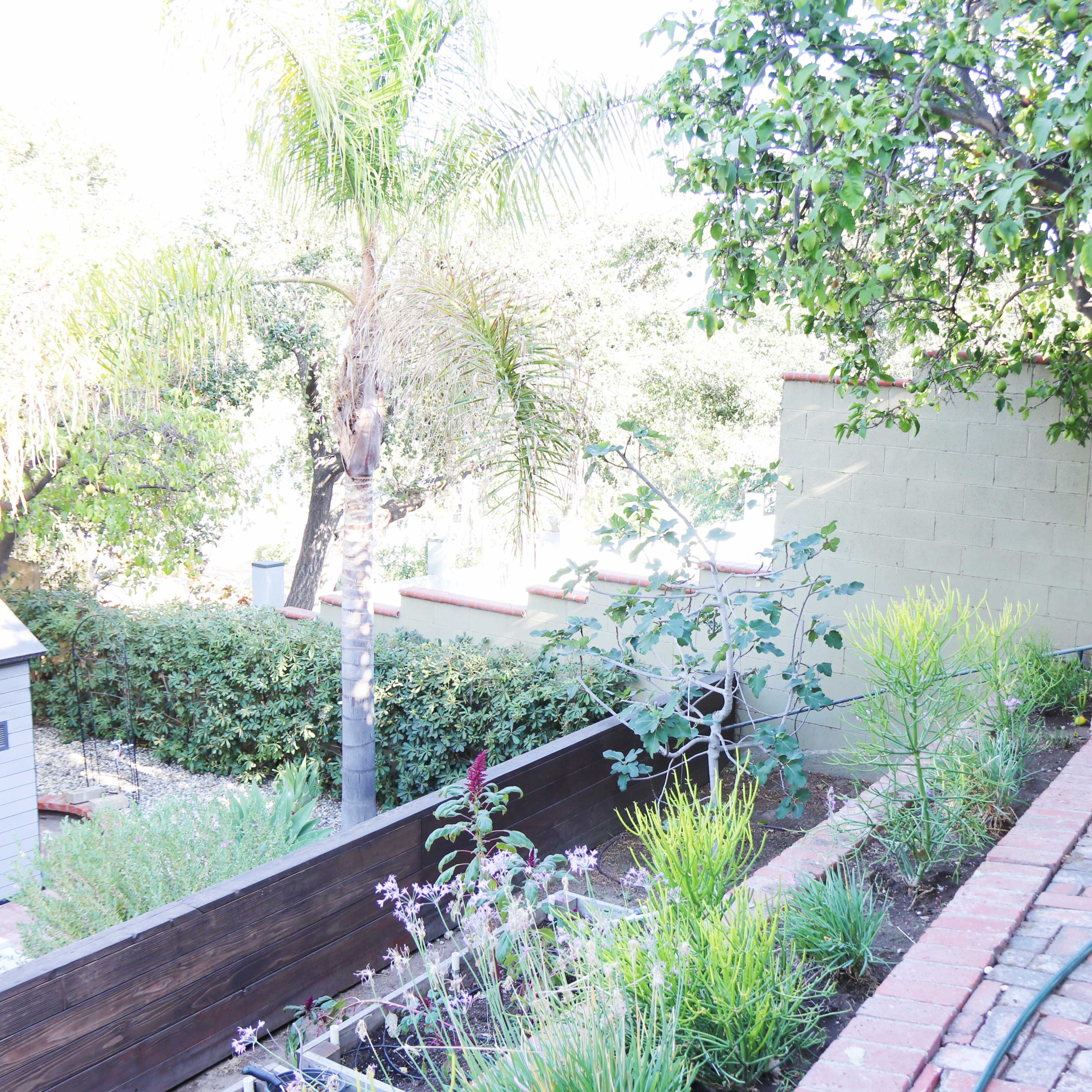 A landscaped backyard featuring a brick pathway, a garden bed with various plants, and two trees adjacent to a wall.