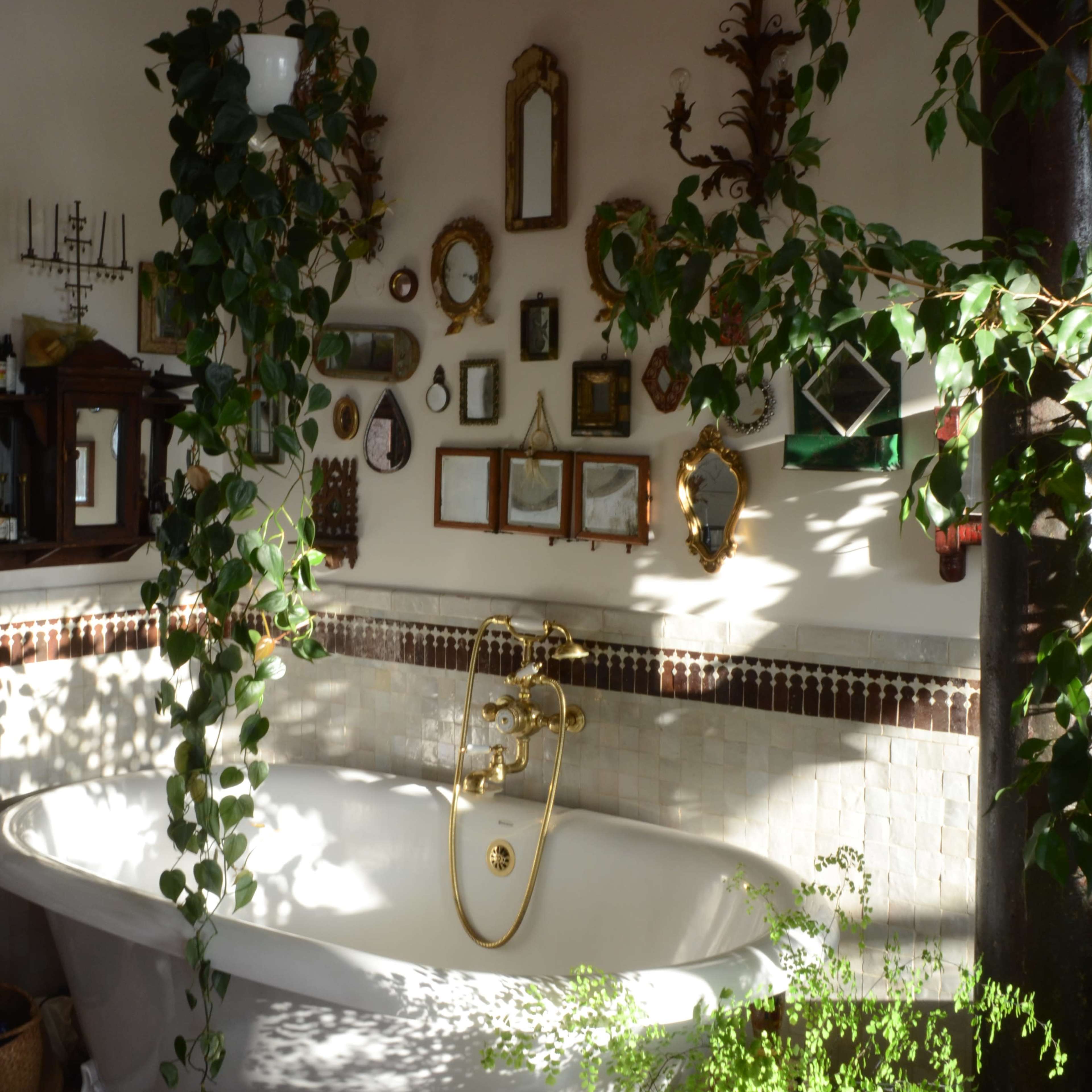 A clawfoot bathtub sits beneath a collection of framed mirrors and art on a wall, with lush greenery cascading nearby.