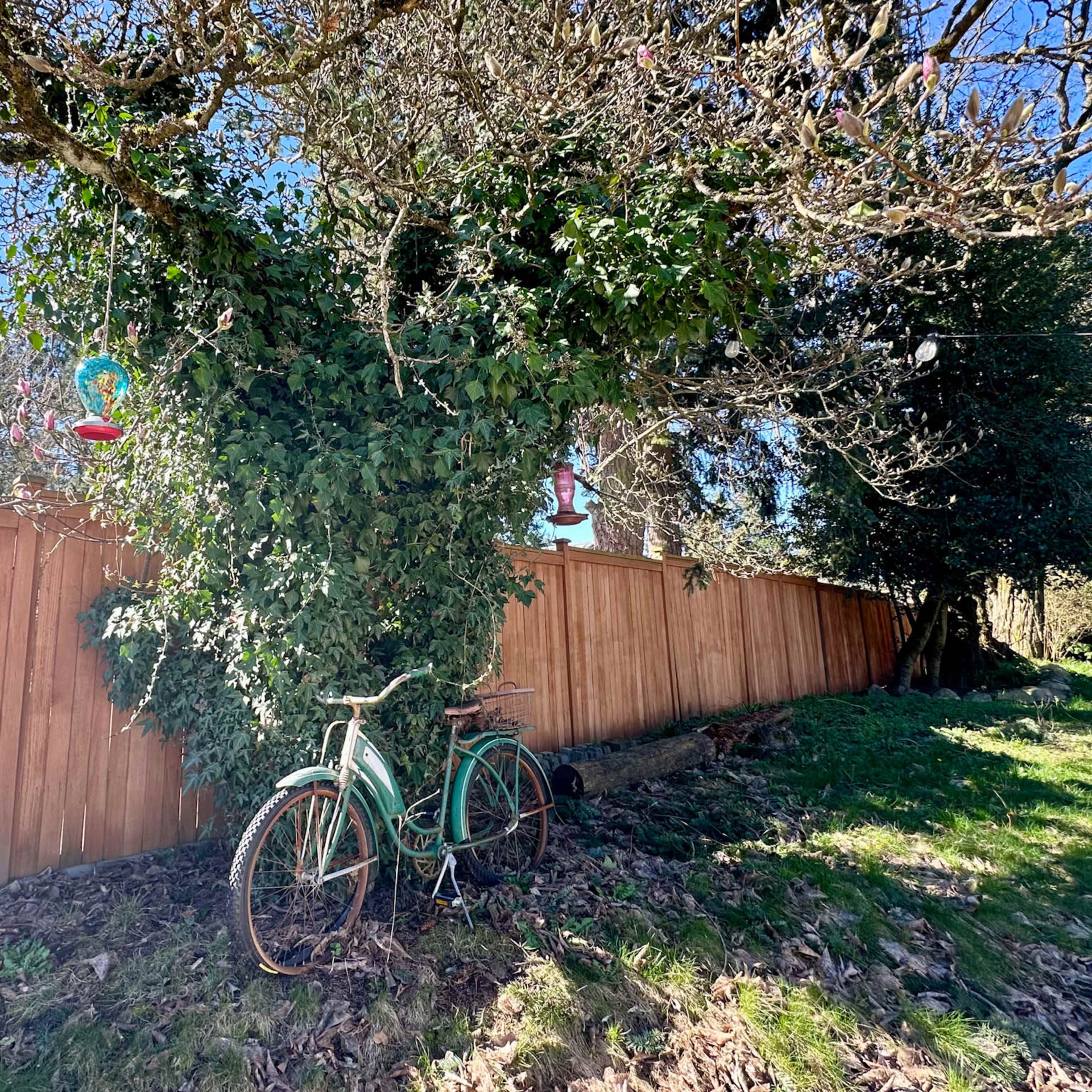 A vintage bicycle leans against a tree covered in green foliage, with a wooden fence in the background.
