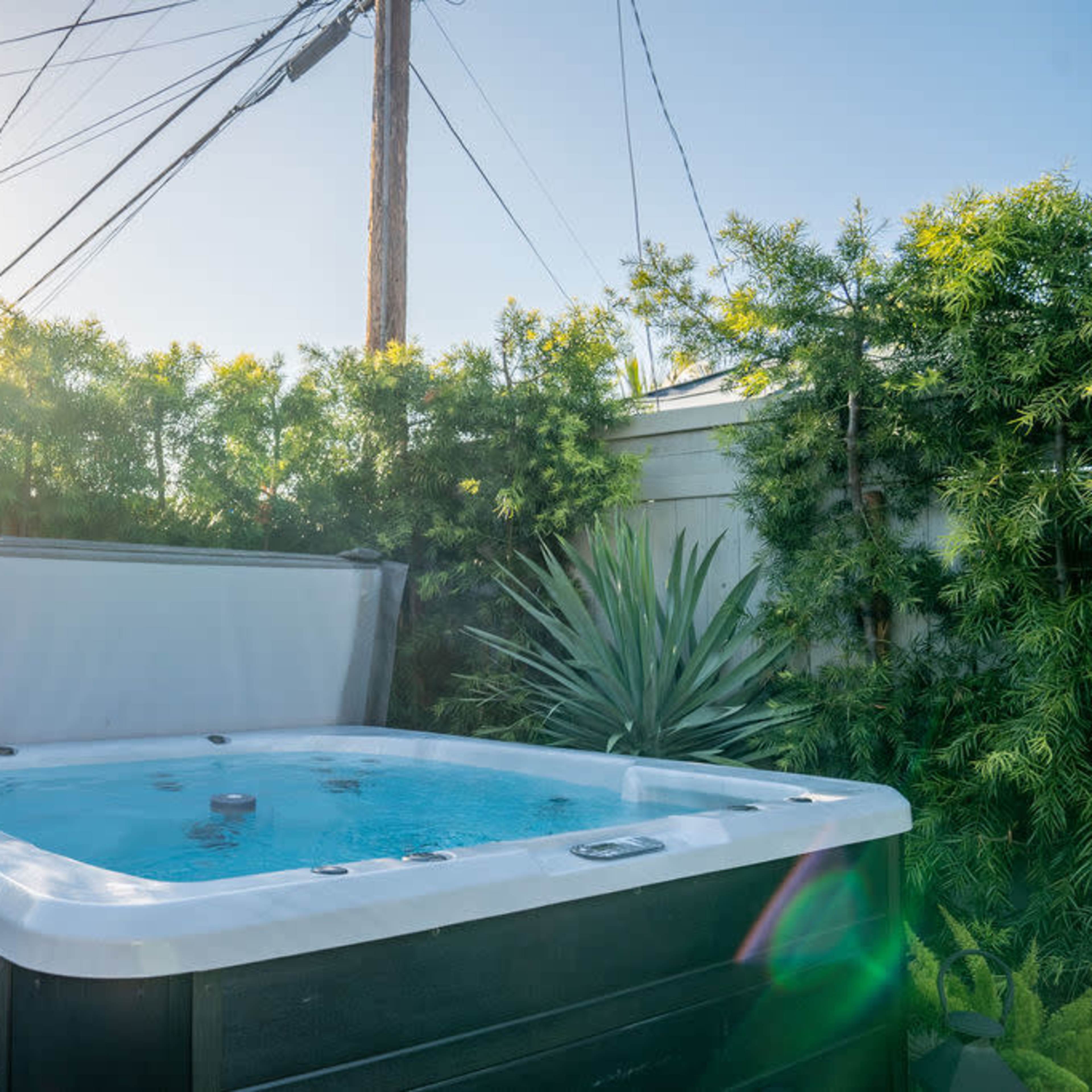 A hot tub surrounded by greenery and power lines stands under bright sunlight.