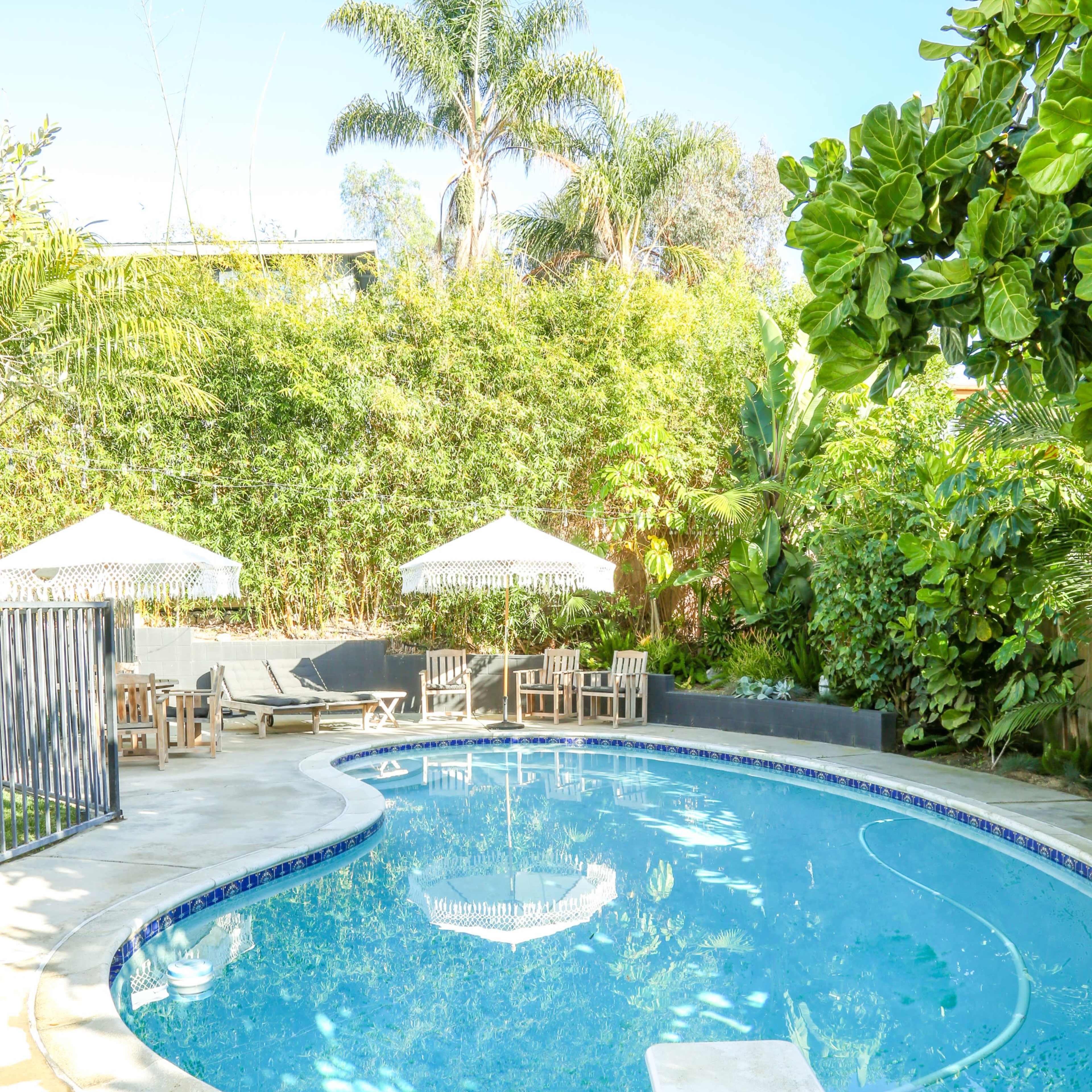 A curved swimming pool surrounded by lounge chairs and umbrellas, set against a backdrop of greenery.