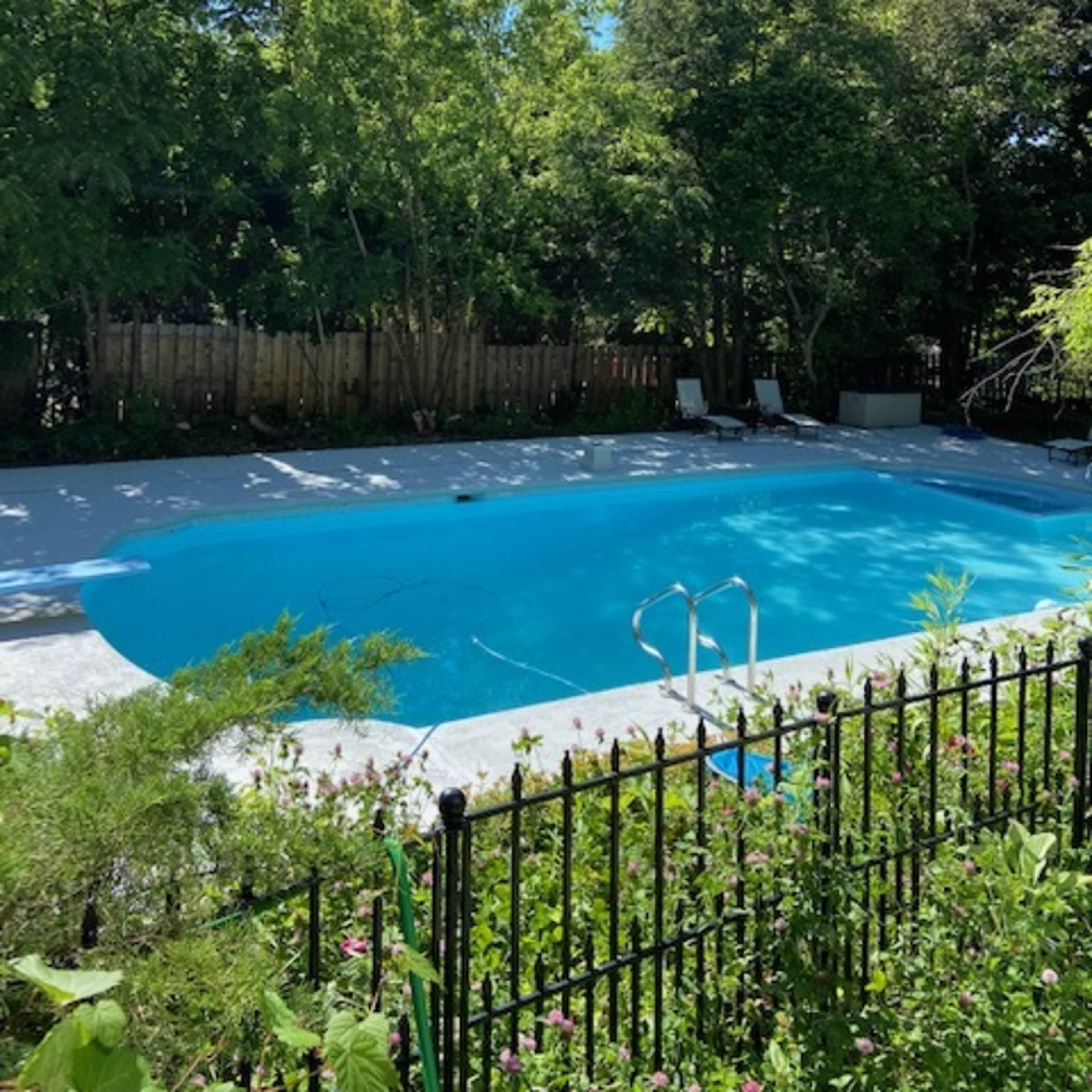 A rectangular swimming pool with a light blue surface is surrounded by greenery and a black iron fence.