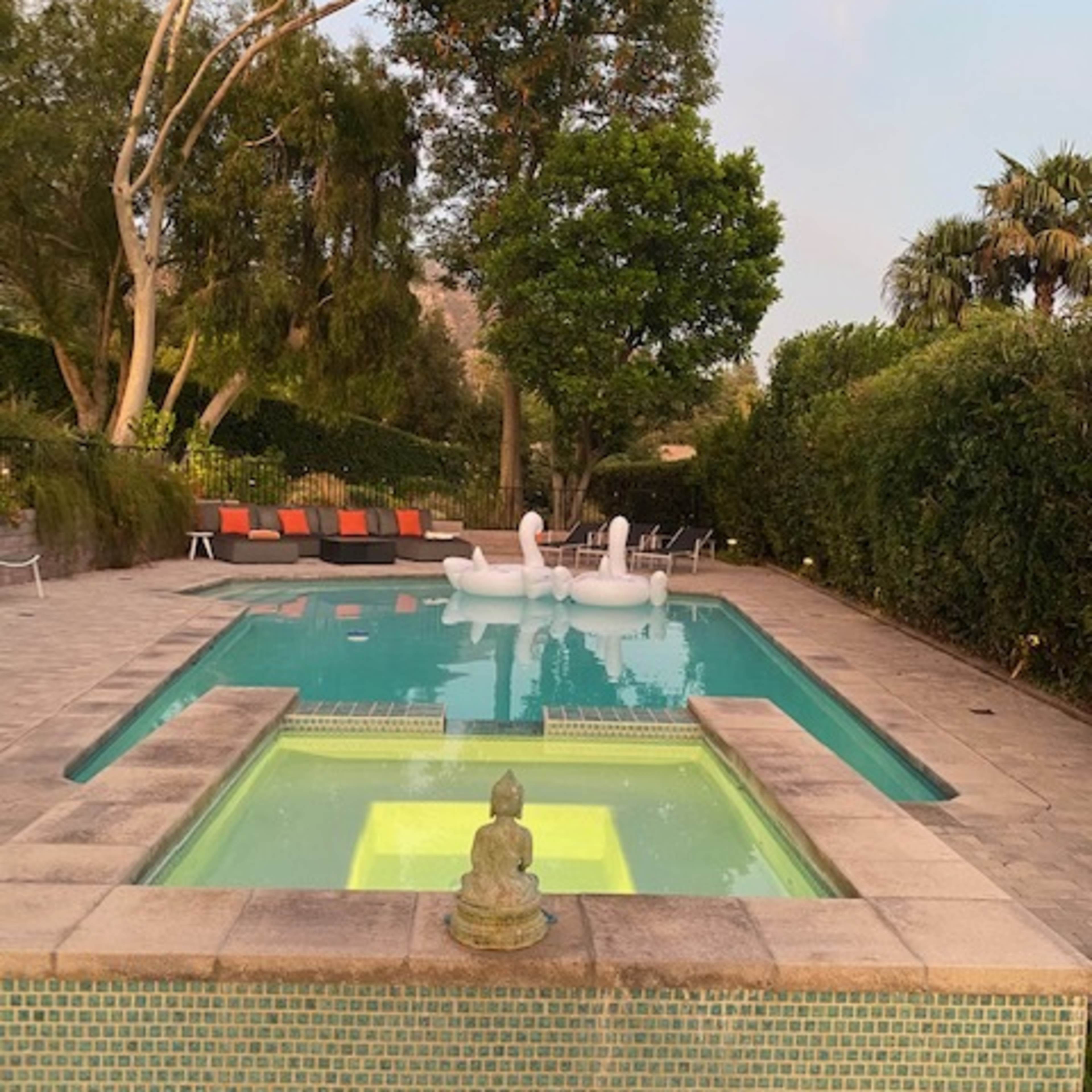 A swimming pool surrounded by greenery, with two large inflatable swans floating in the water and a statue of a Buddha on the edge.
