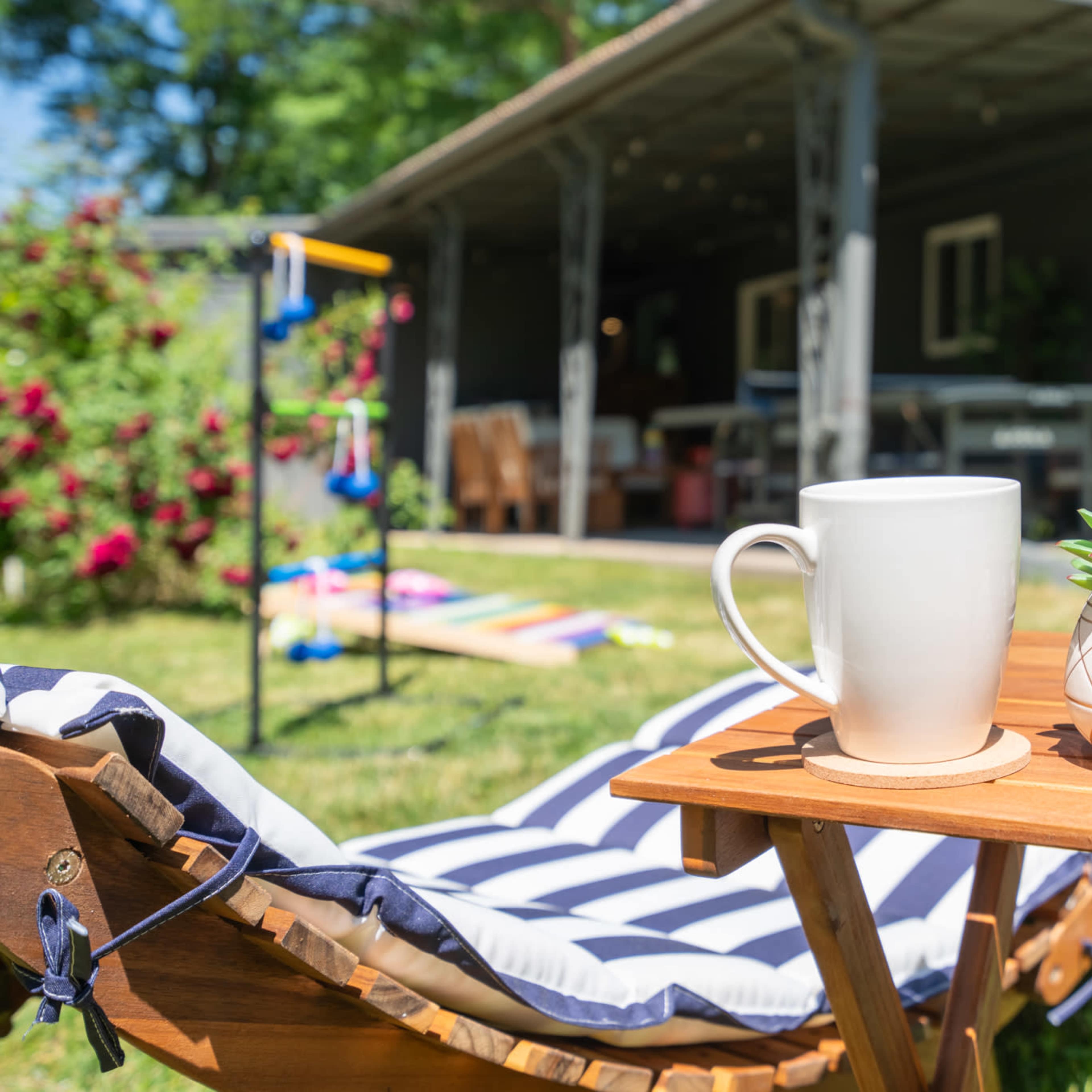 Two white mugs and a small potted plant sit on a wooden table in a sunny backyard, with a patio and lounging area visible in the background.