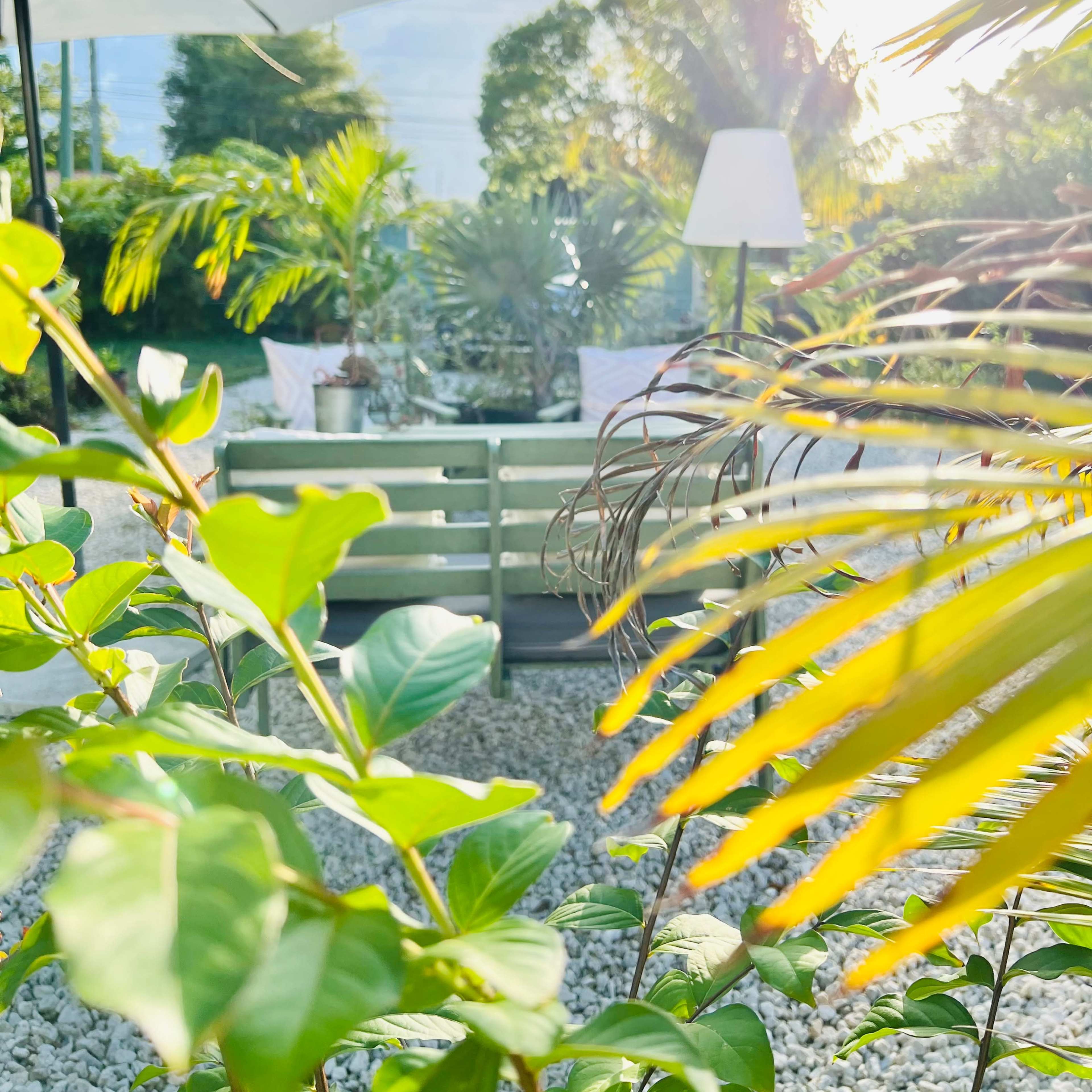 A patio with green seating, surrounded by lush plants and a large umbrella, is illuminated by sunlight.