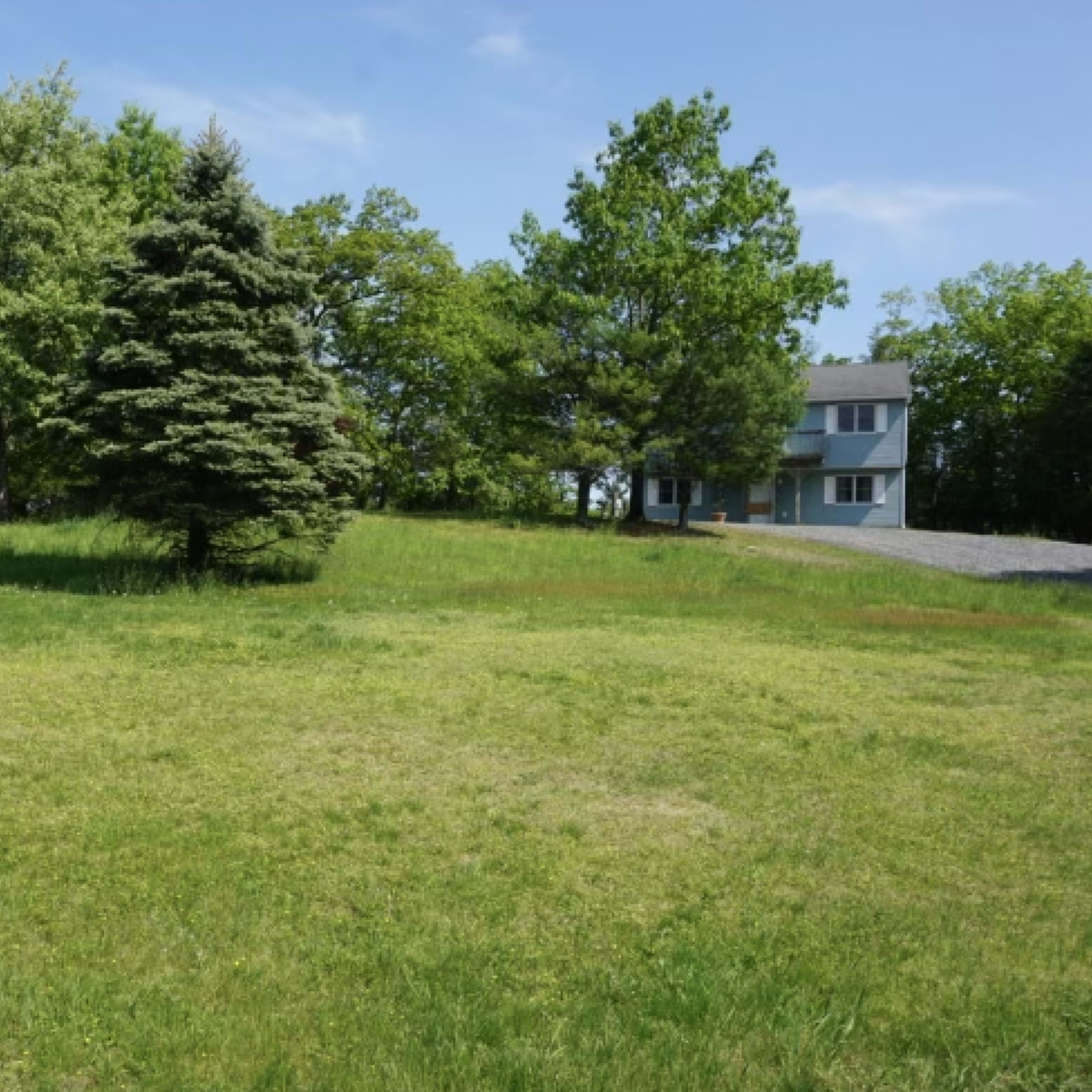 A grassy area features a solitary evergreen tree with a house and trees in the background.