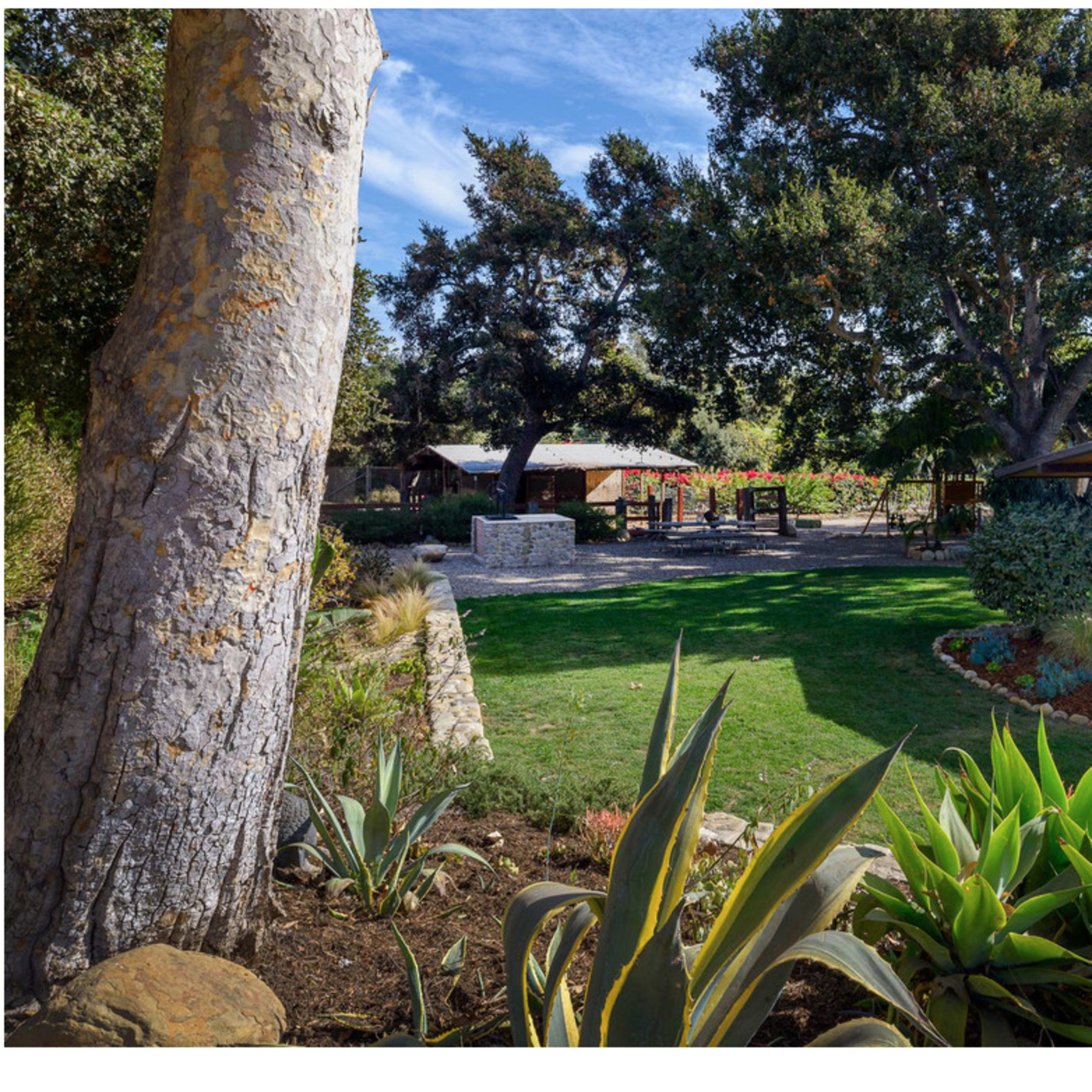A landscaped outdoor area features a modern building, lush greenery, and a seating area under trees.