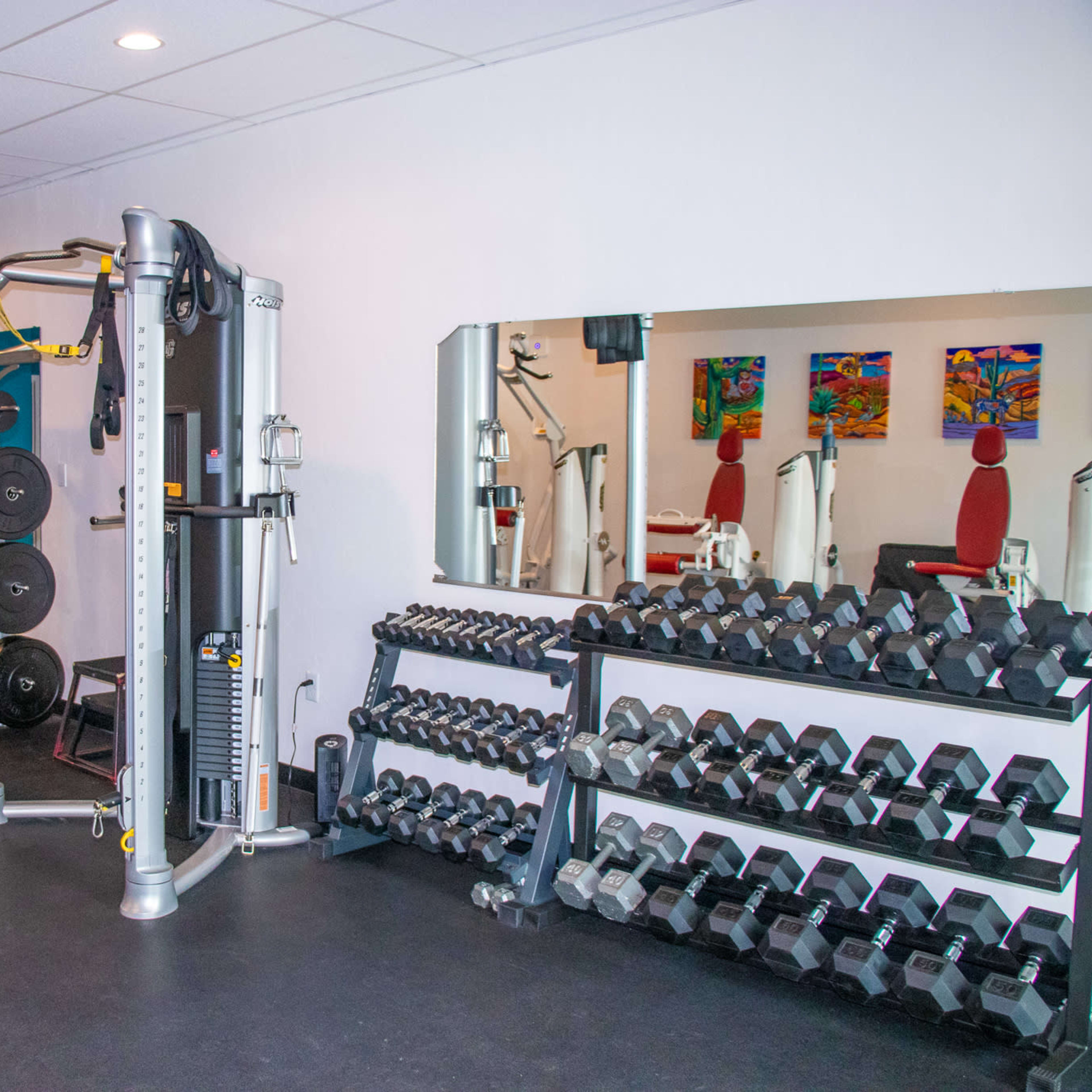 A gym interior featuring various weight machines, exercise equipment, and a rack of dumbbells against a blue and white wall.