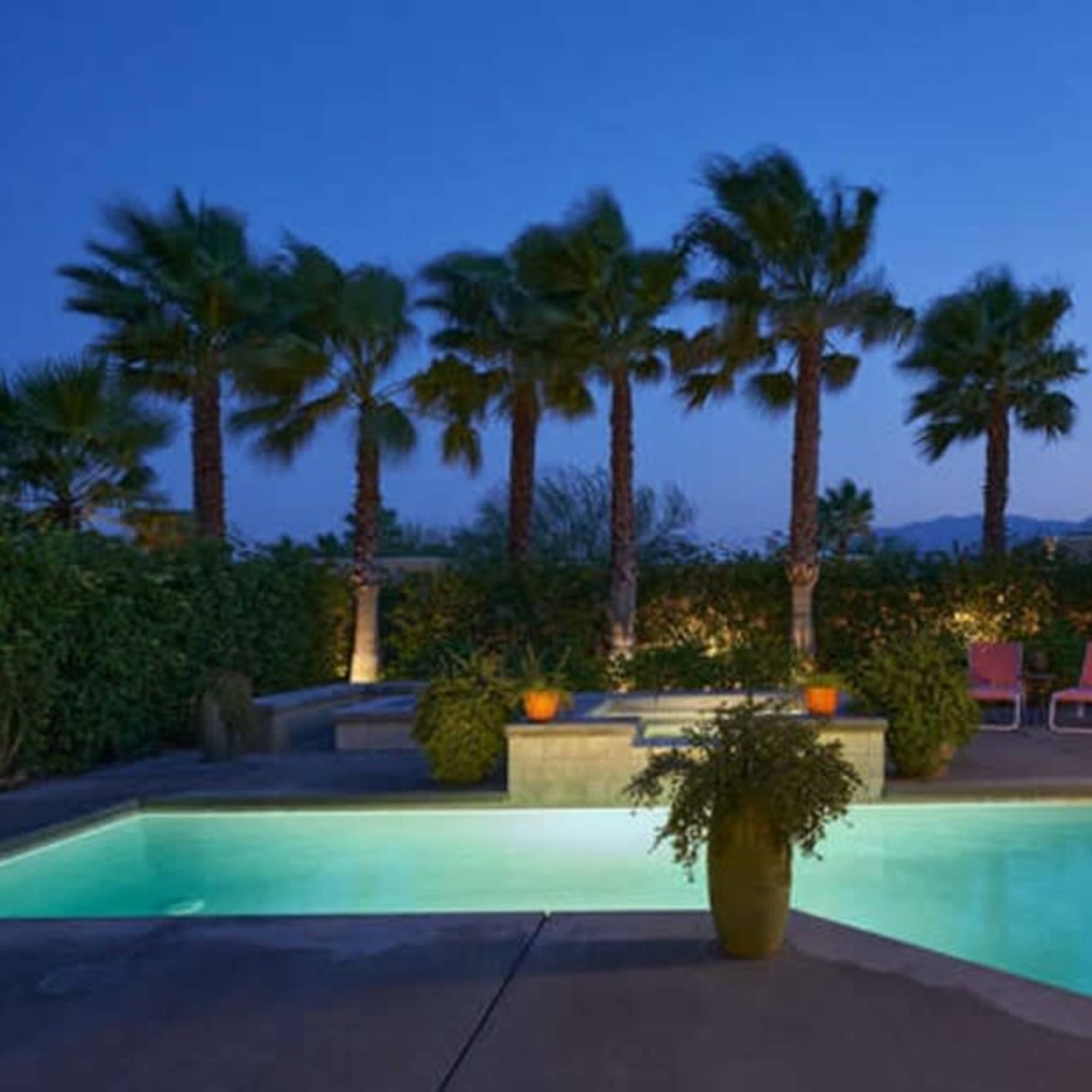 A swimming pool is surrounded by palm trees and landscaped greenery in the evening light.