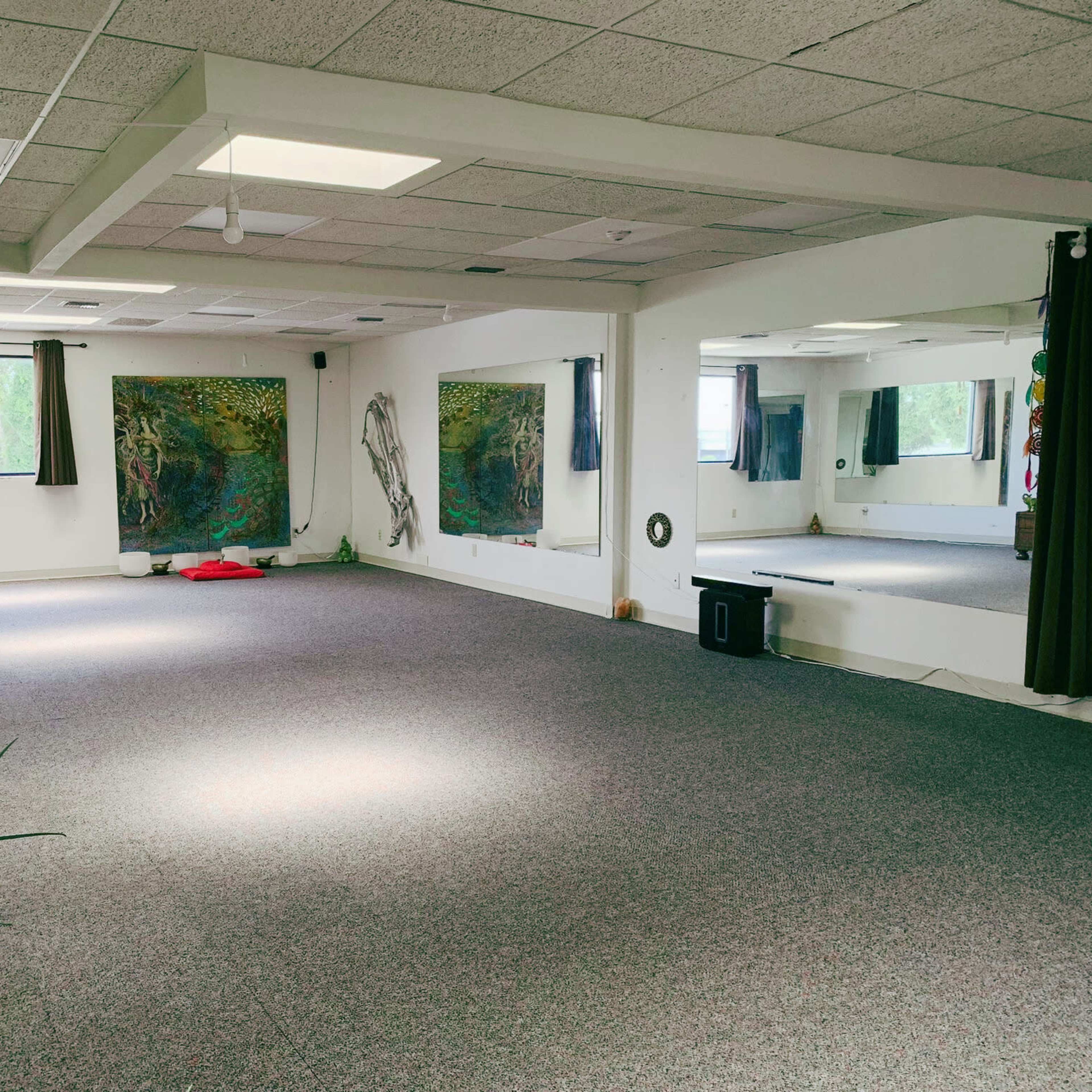 A spacious, empty room with carpeted flooring, large windows, and artwork on the walls, along with mirrors and plants placed around the space.