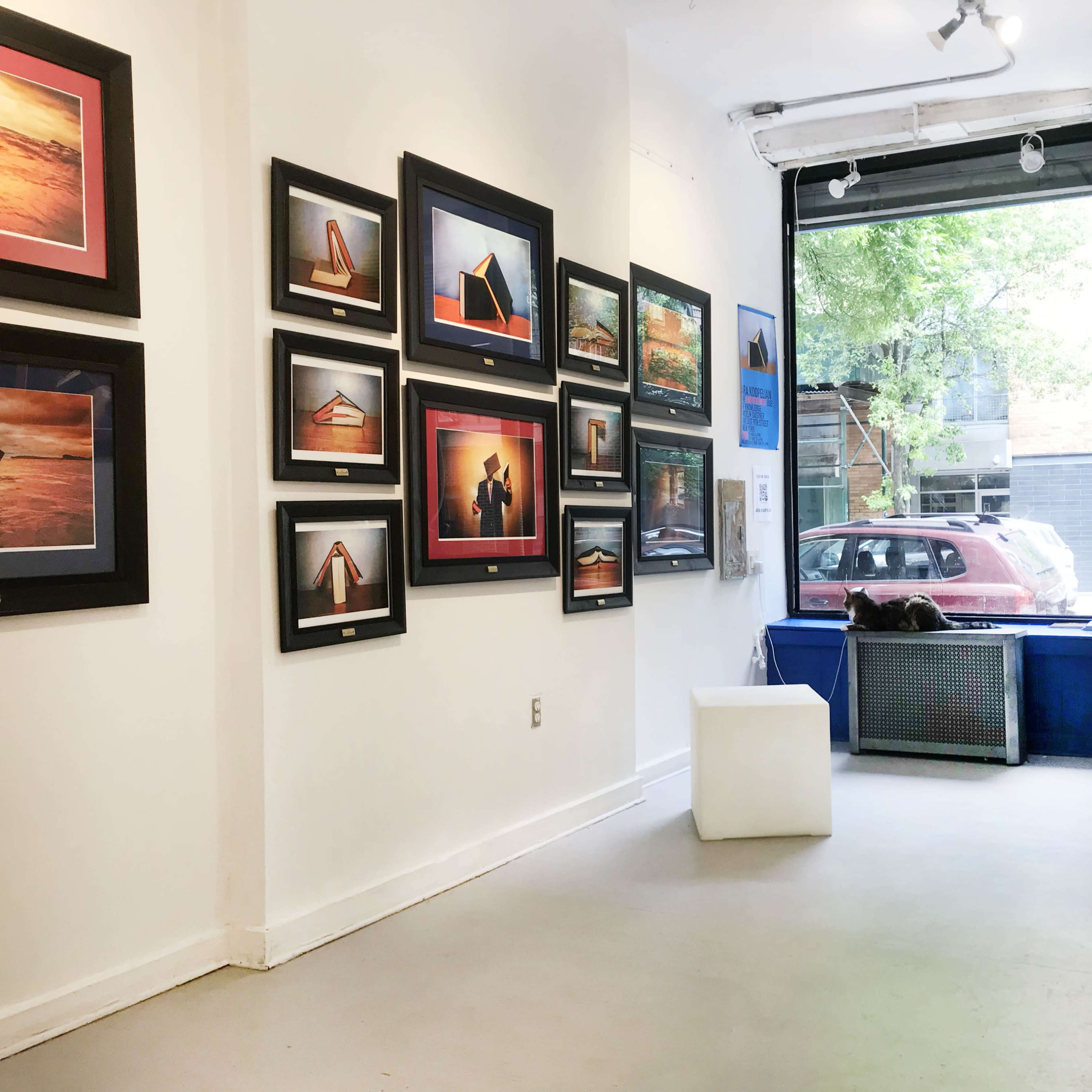 A gallery interior with framed photographs on the walls, a white bench in the center, and large windows showing a view of the street outside.