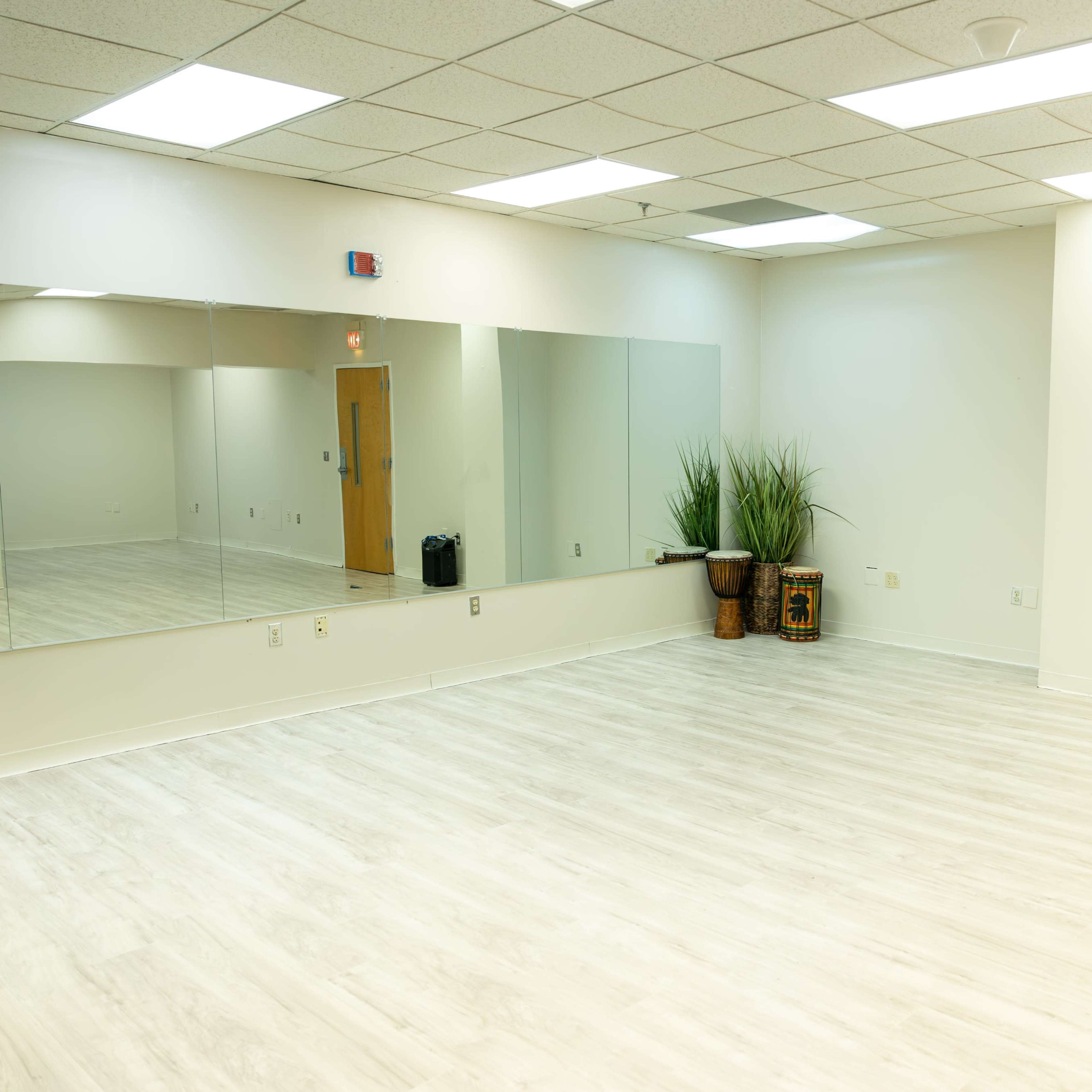 A spacious, empty room with white walls, a large mirror on one side, and a potted plant in the corner.