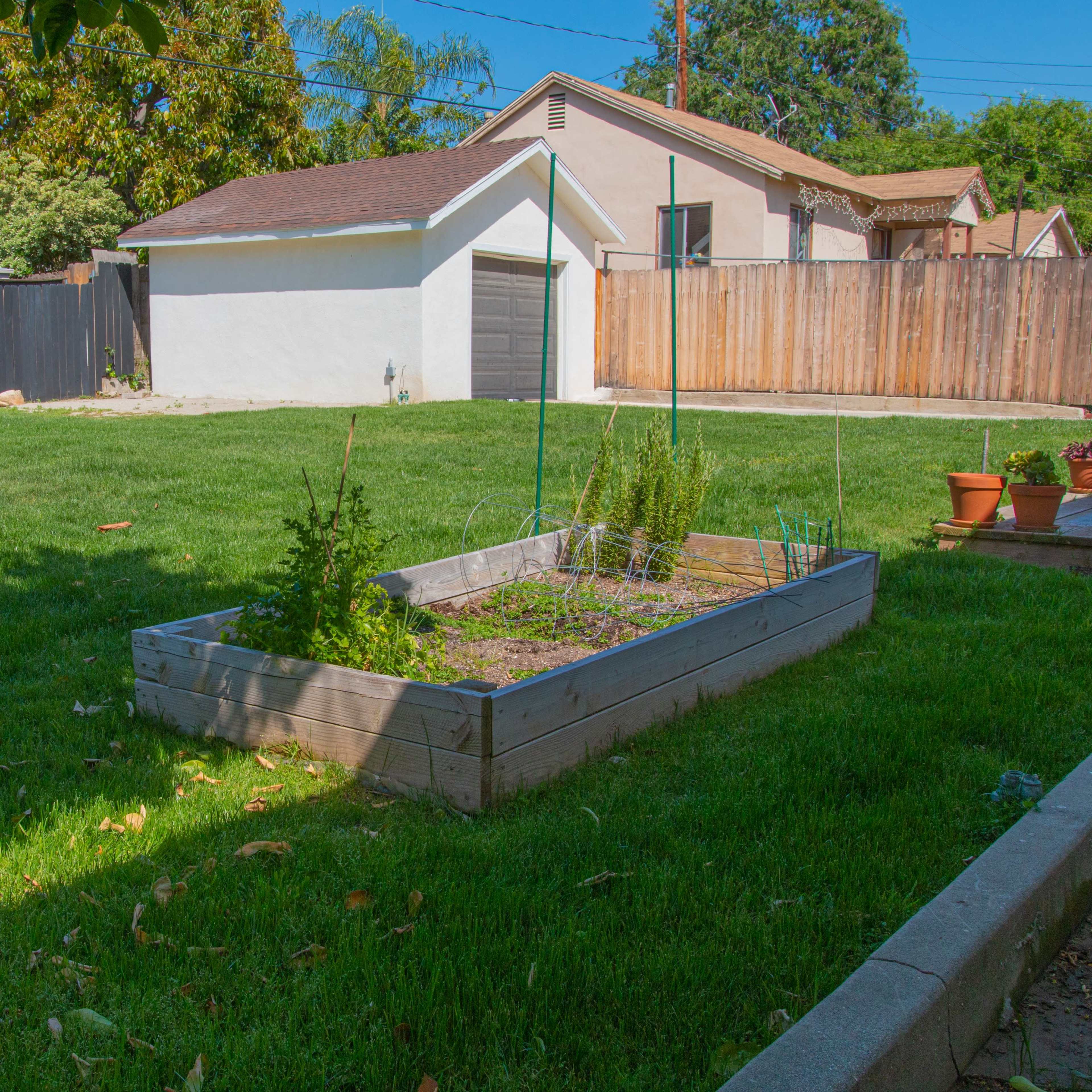 A grassy backyard with a wooden garden bed and a white shed in the background, bordered by a wooden fence.