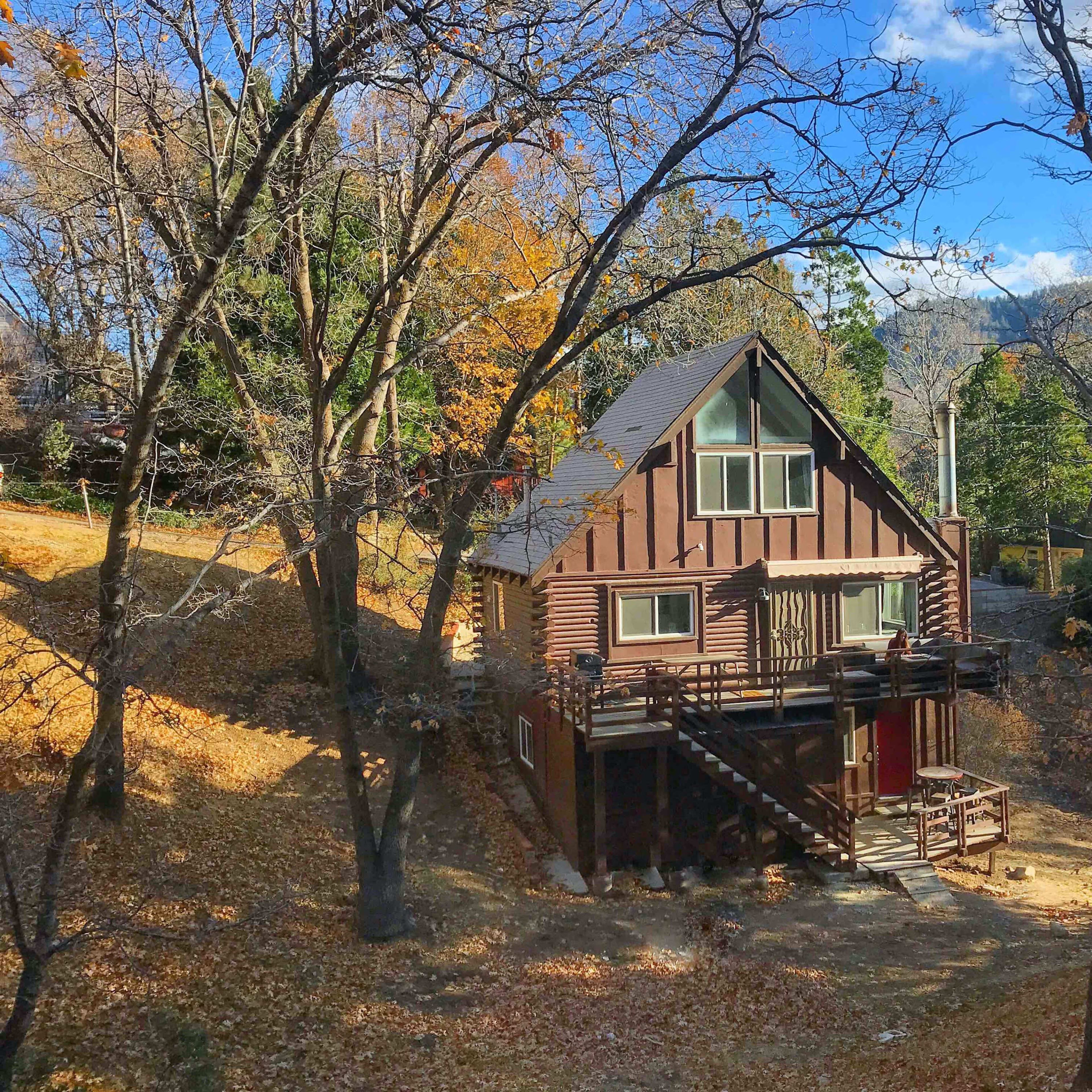 A wooden cabin with a slanted roof is situated among trees and fallen leaves in a wooded area.