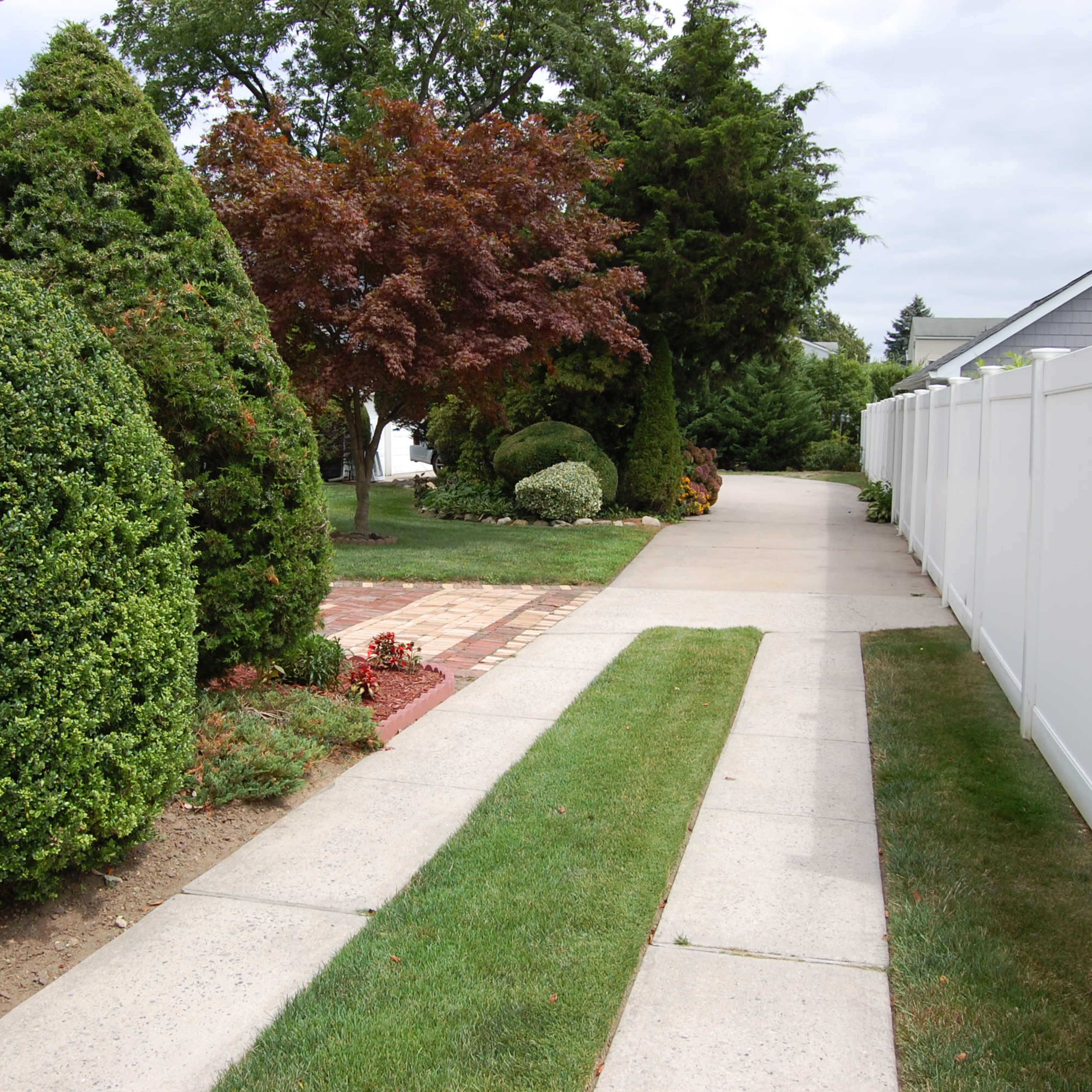 A paved walkway lined with neatly trimmed bushes and trees runs alongside a white fence in a suburban setting.