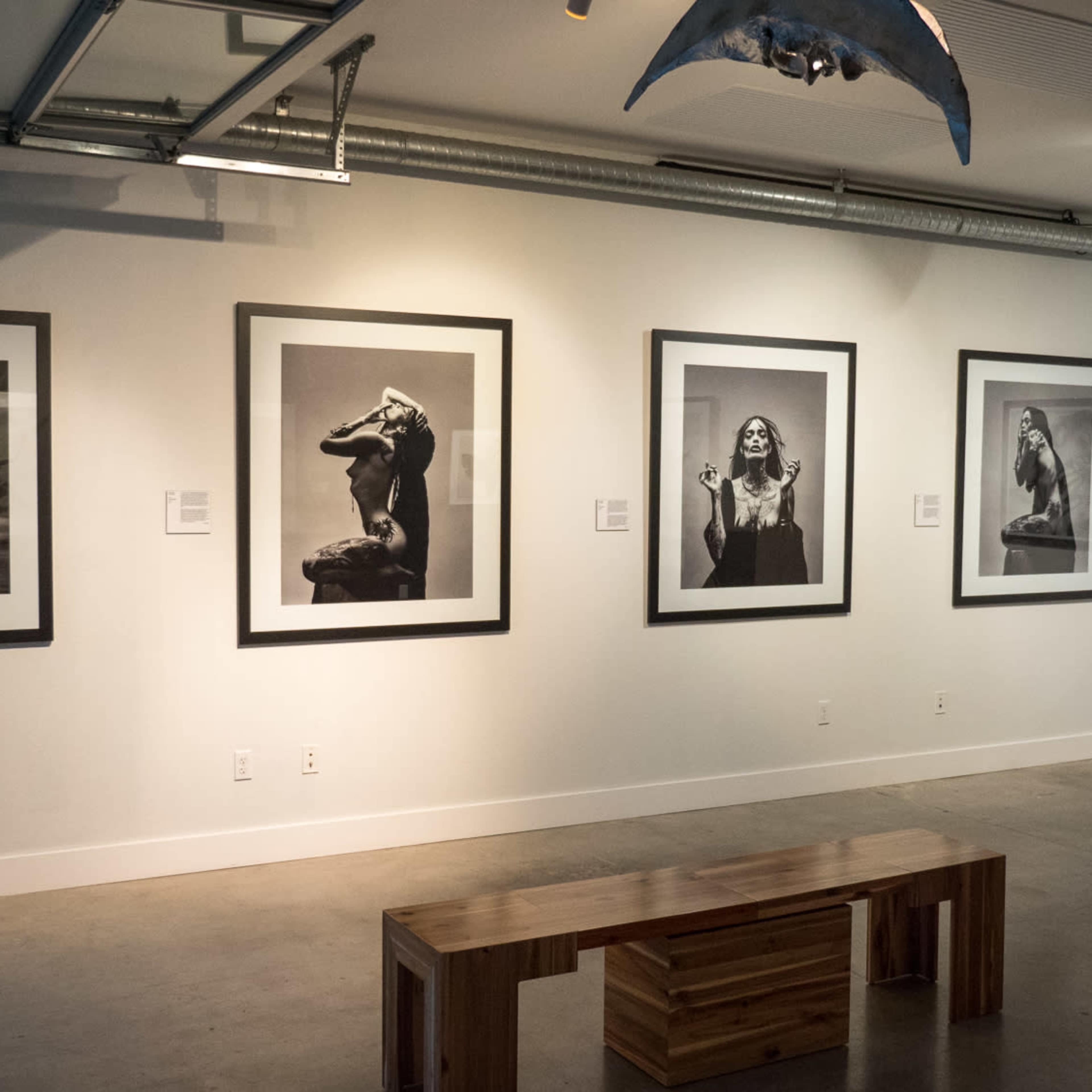 Edgy Carlsbad Art Gallery for Events & Creative Shoots Image in Carlsbad, Carlsbad, CA