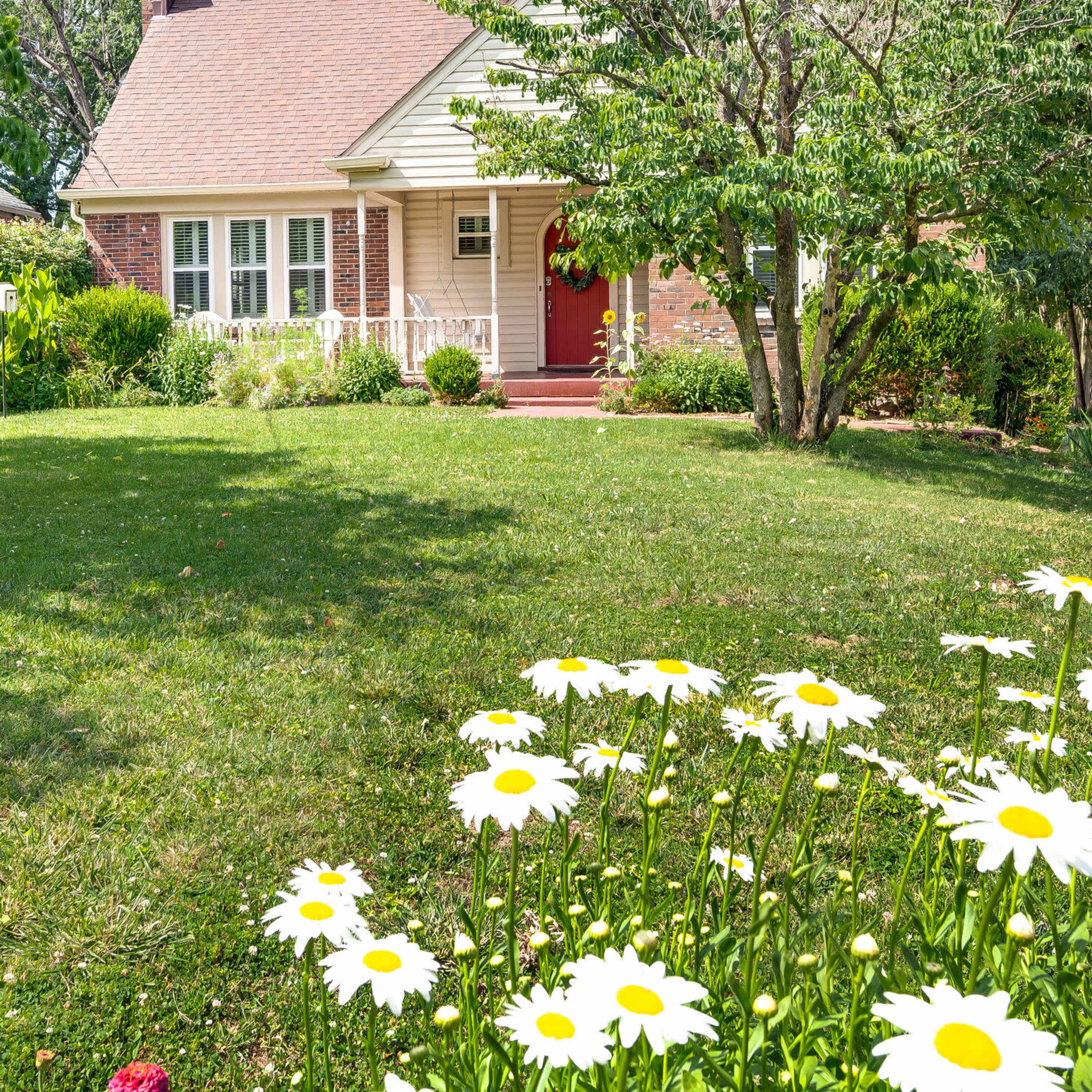 A small, brick-and-siding house with a red front door is surrounded by green grass and white daisies in the foreground.