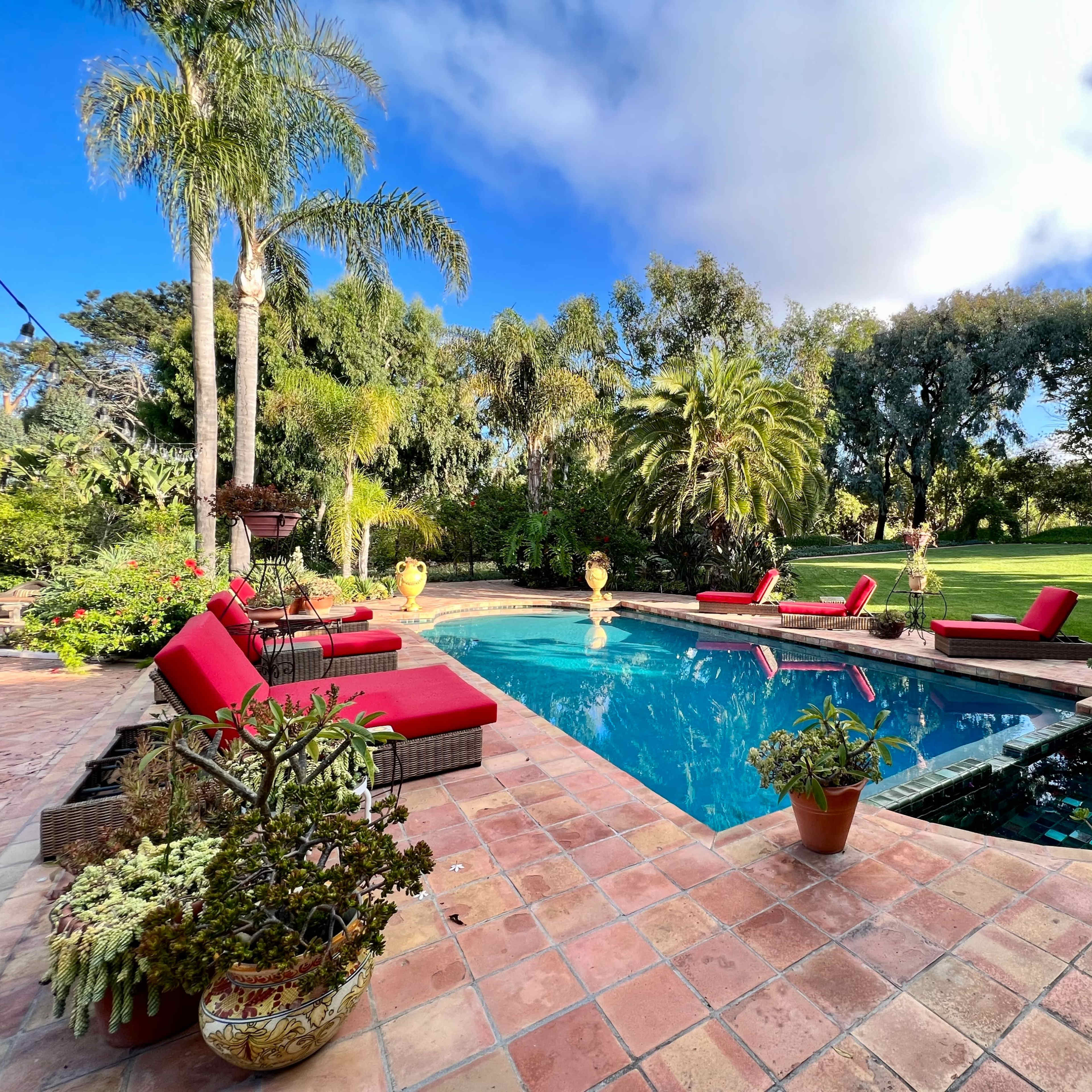 A backyard pool surrounded by red lounge chairs and various plants in terracotta pots, with lush greenery and palm trees in the background.