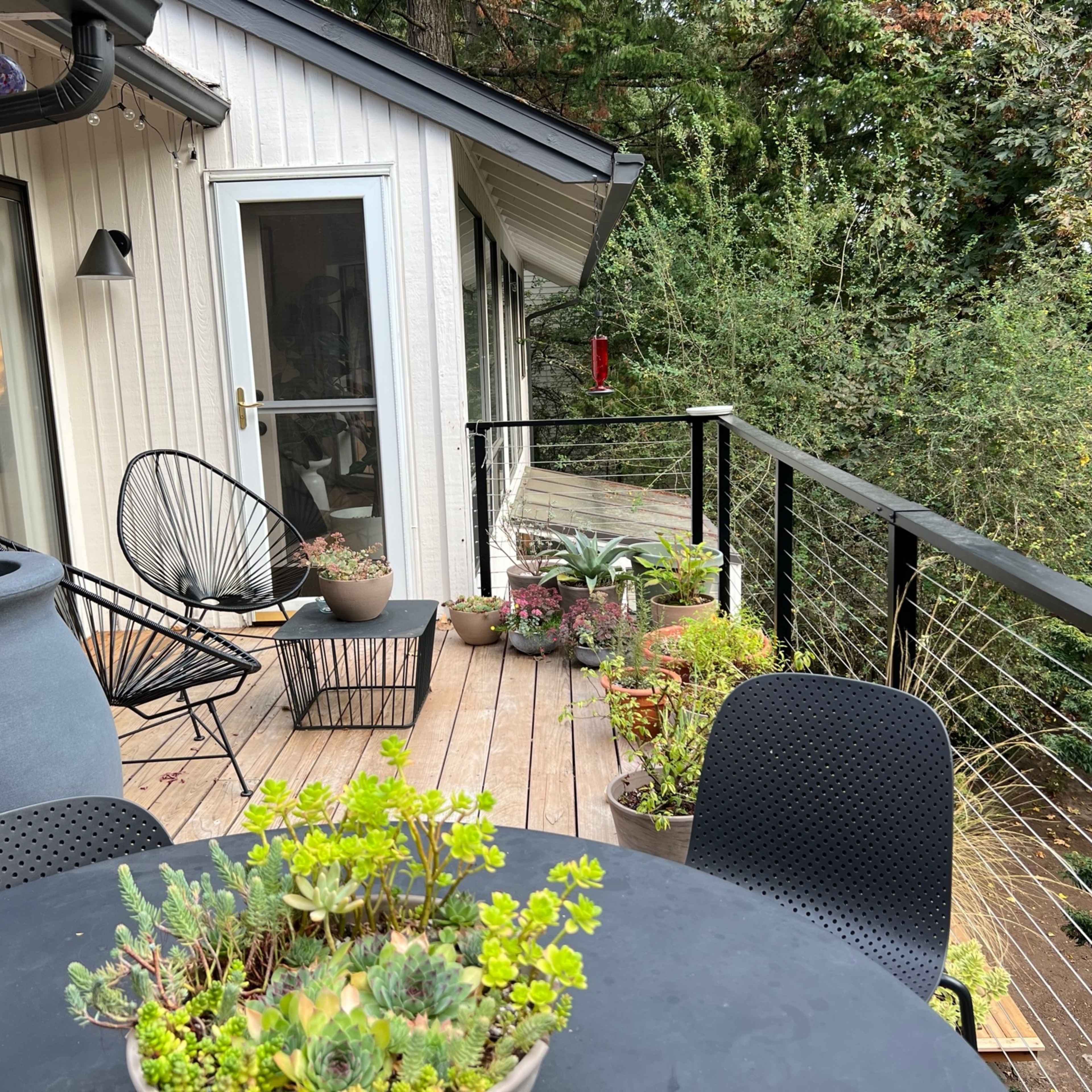 A wooden deck is adorned with potted plants, outdoor furniture, and several chairs, overlooking a dense green area.