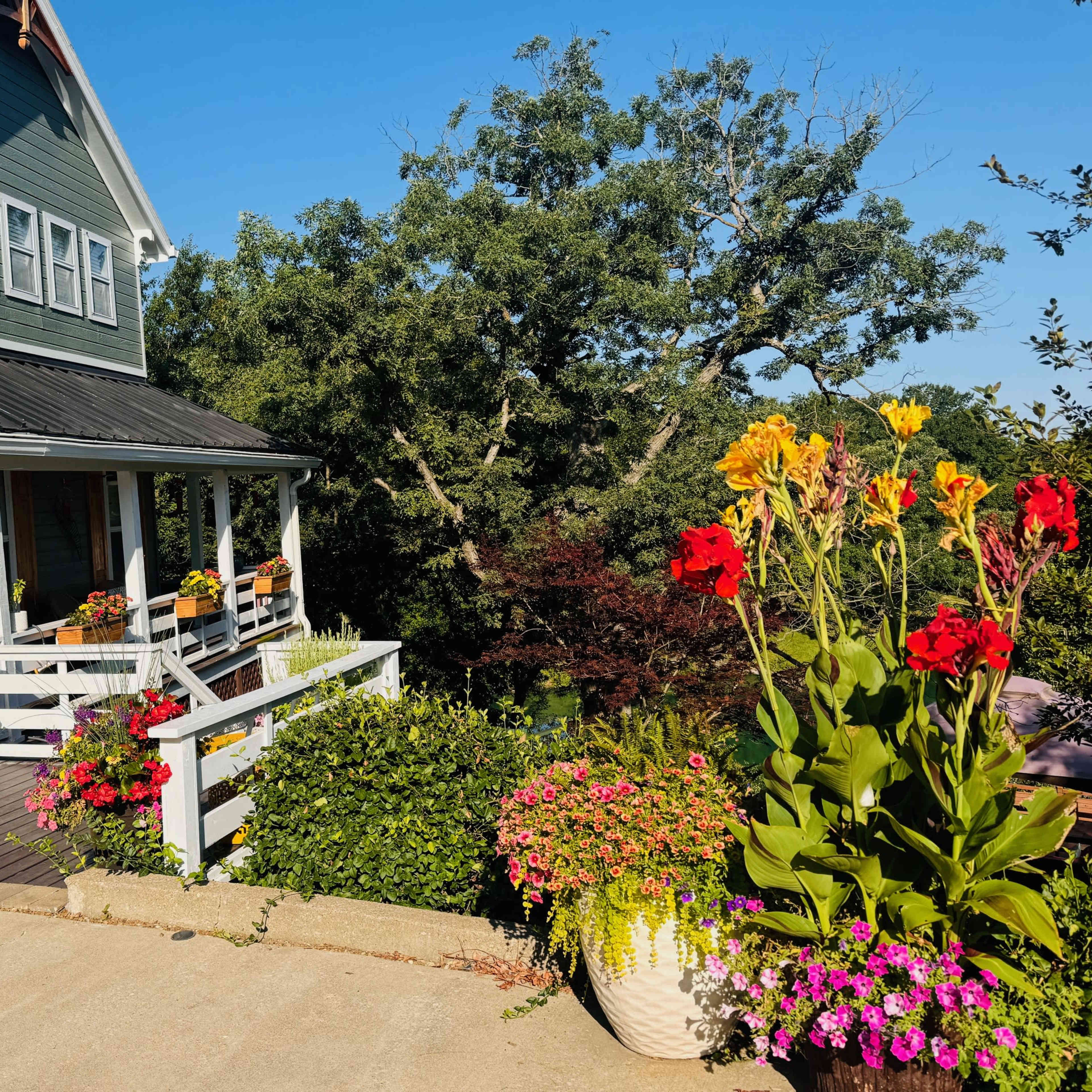A two-story green house with a black roof features a front porch surrounded by flowering plants and colorful pots.
