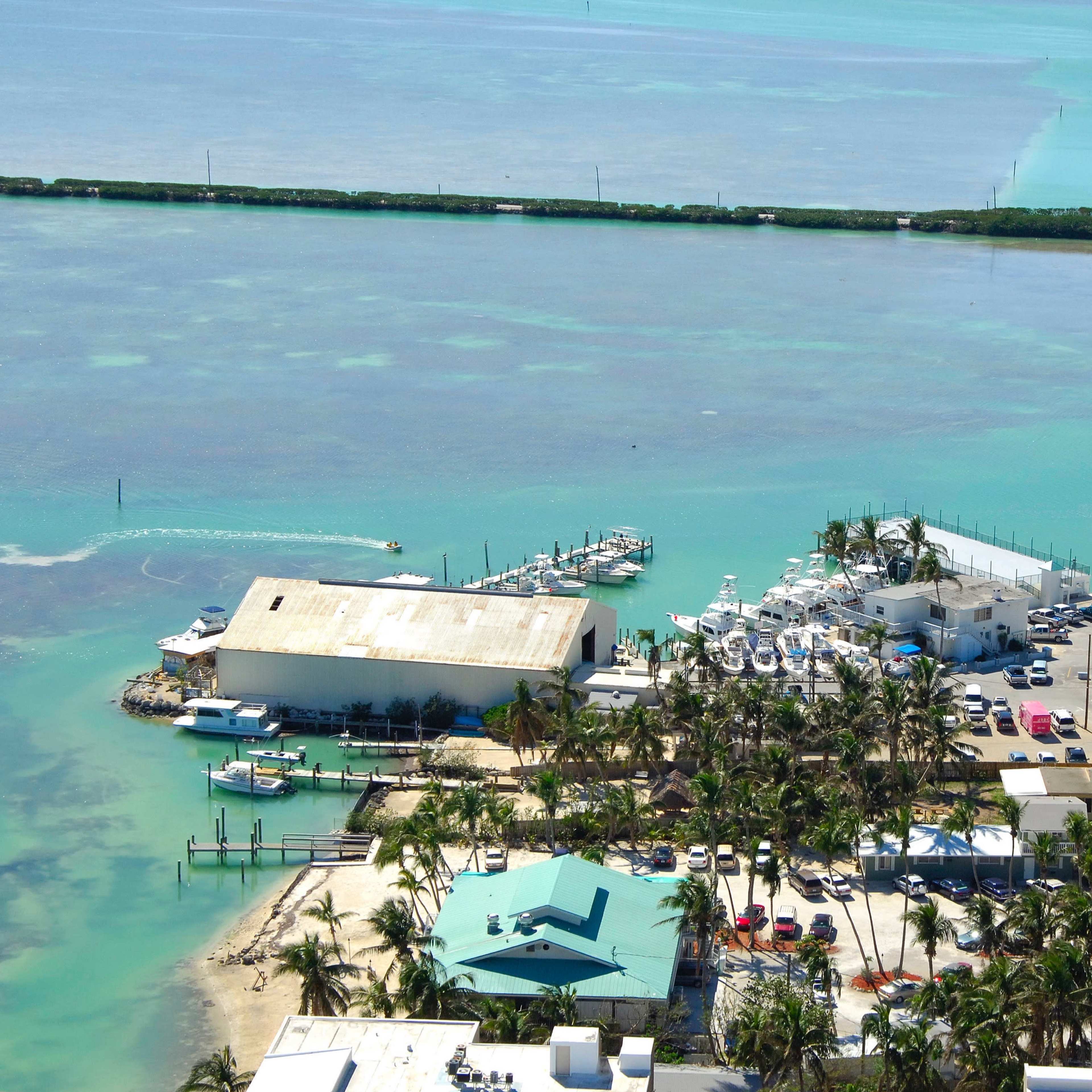 A coastal area with a marina featuring several boats, palm trees, and a highway running alongside the water.