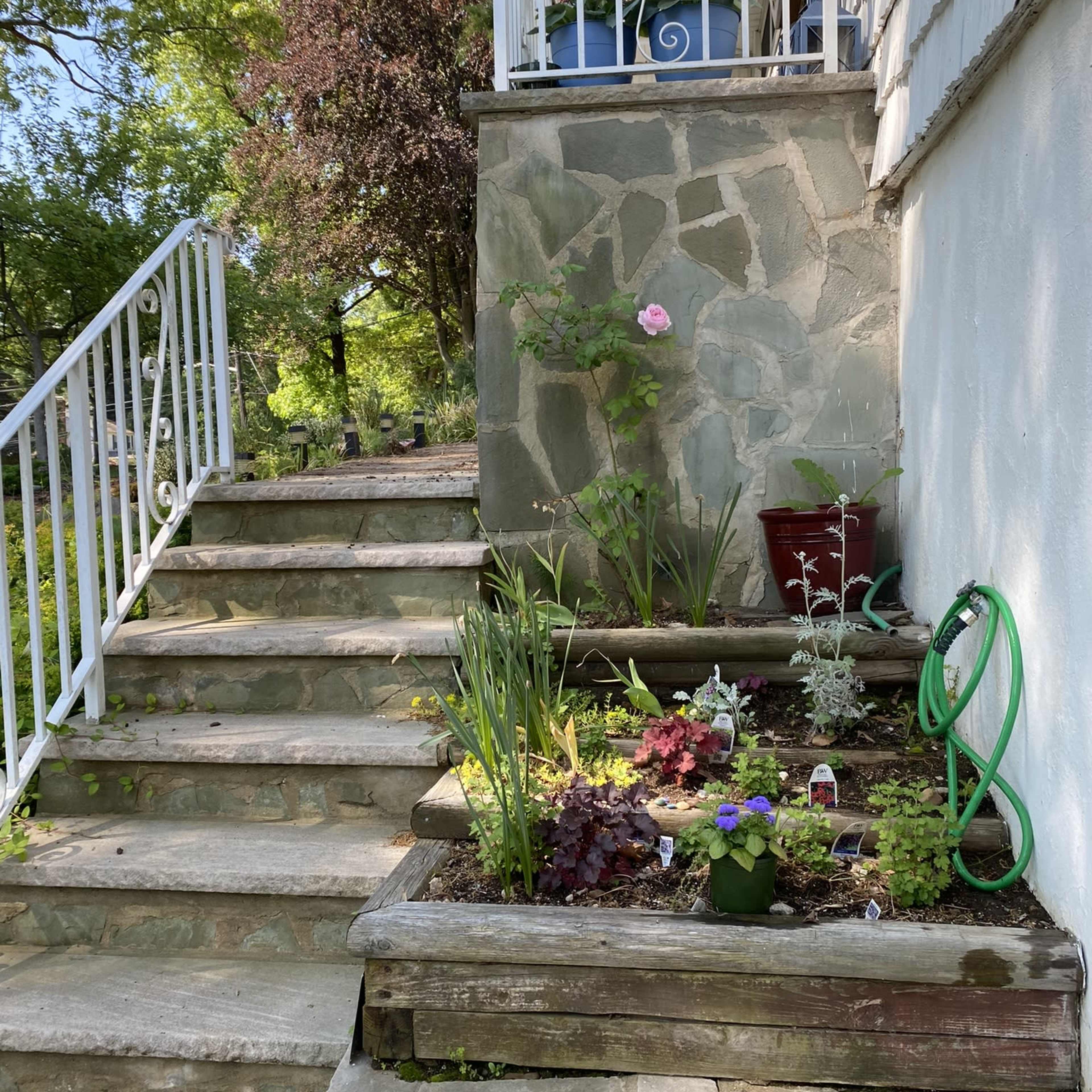 A stone pathway leads up to a house, with steps beside a garden featuring various plants and flowers in a raised planter box.