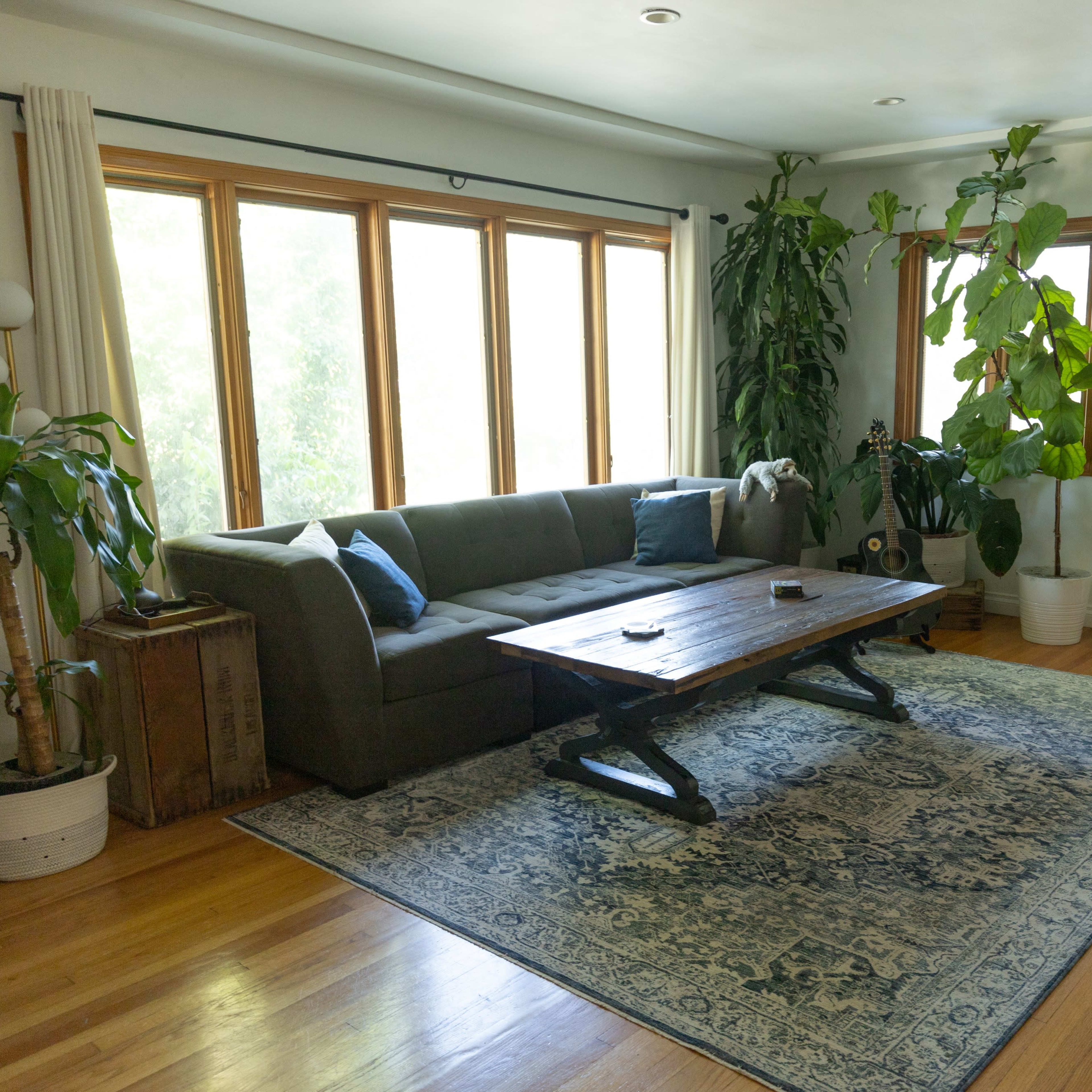 A cozy living room with a gray sofa, a wooden coffee table, large windows, plants, and a black cat lying on the floor.