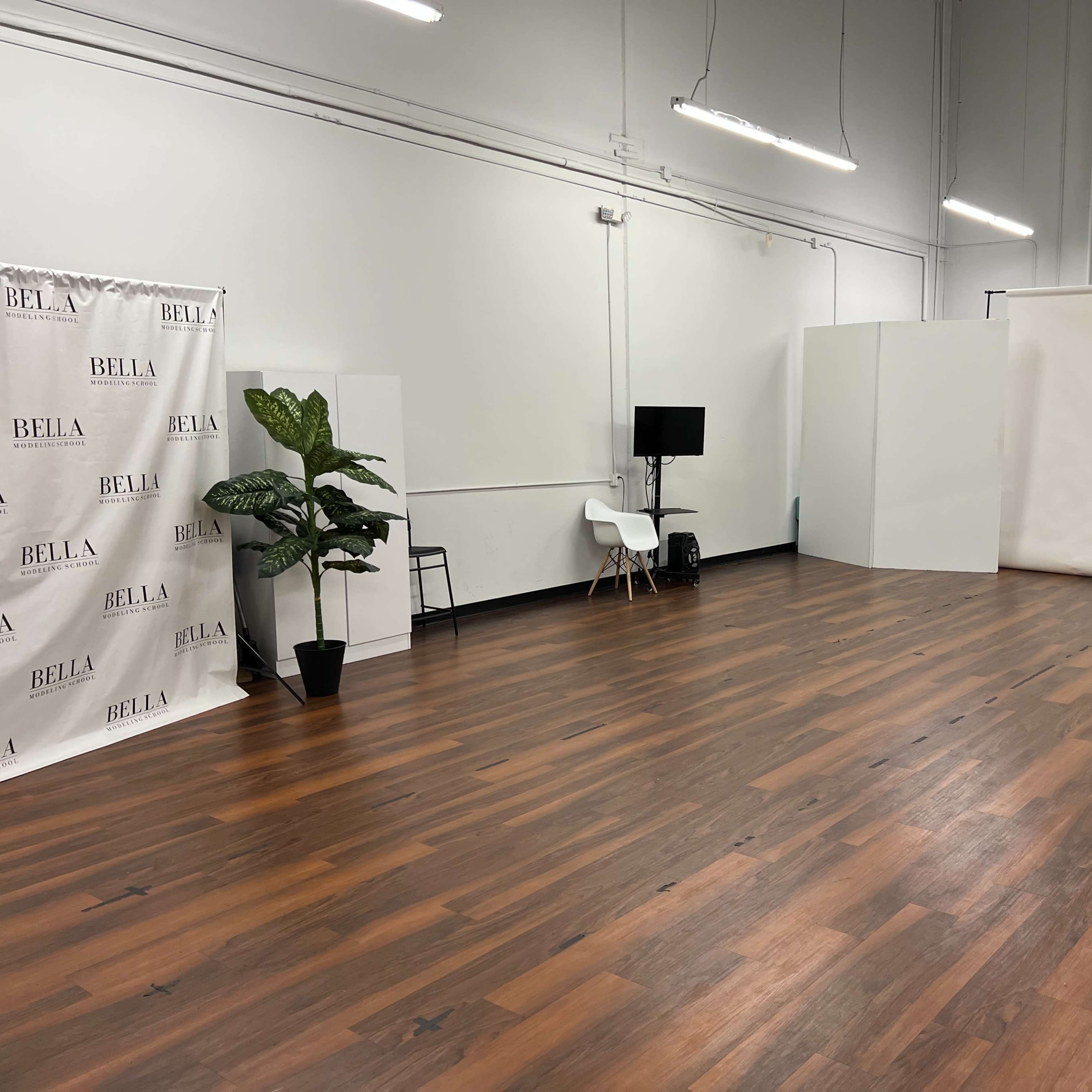 An empty studio space featuring wooden flooring, a backdrop area with white panels, a potted plant, and minimal furniture including a chair and a TV.