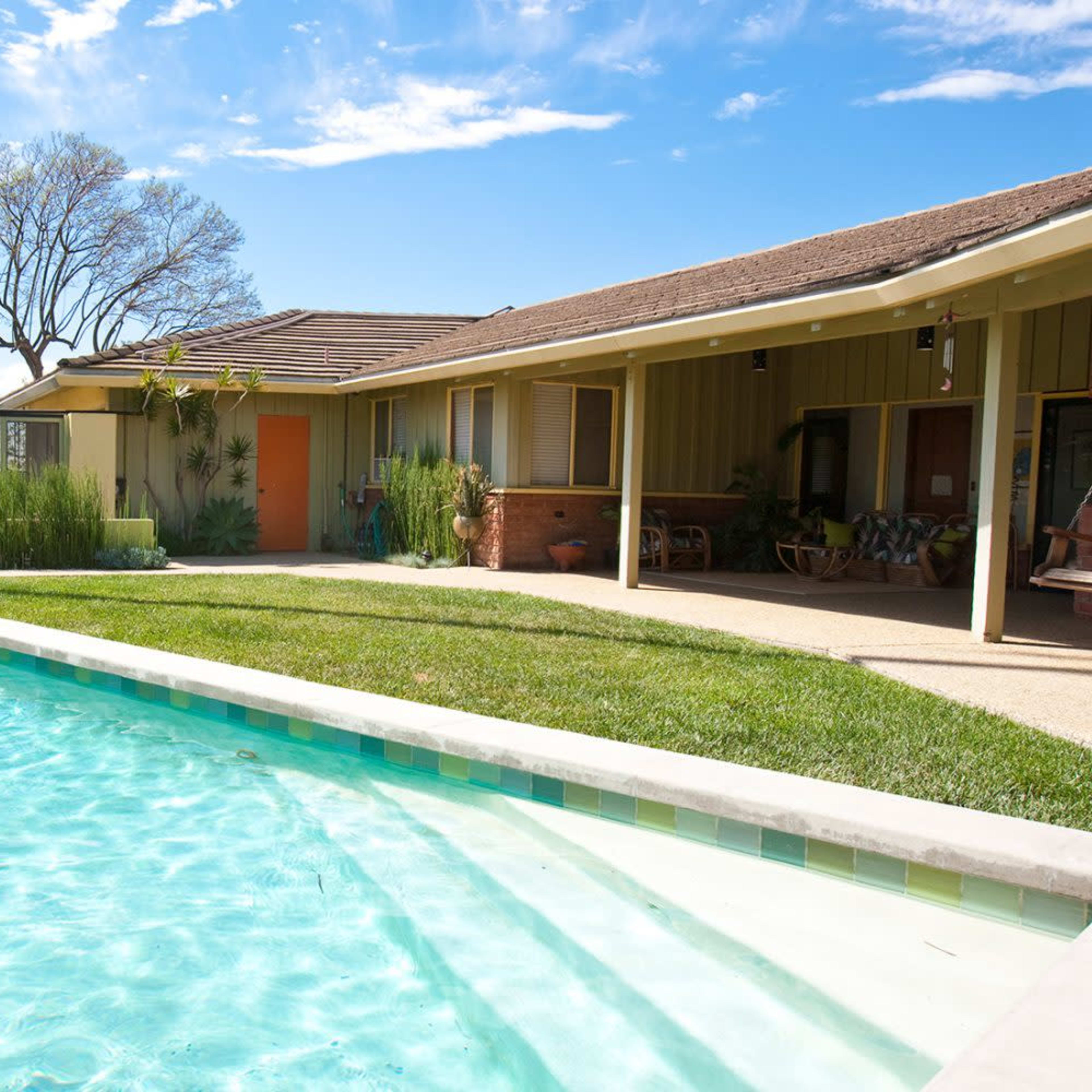 A backyard with a swimming pool, lush green grass, and a single-story house with a patio and palm trees.