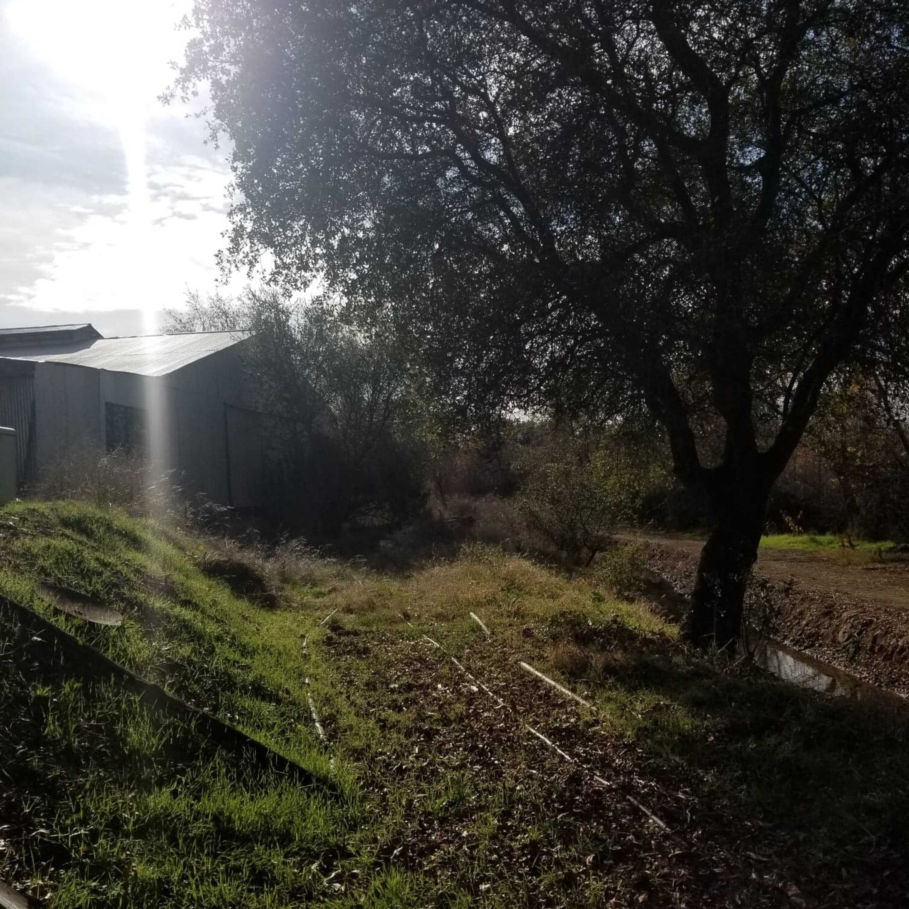 A pathway lined with grass and vegetation, leading to a structure partially obscured by trees under a partly cloudy sky.