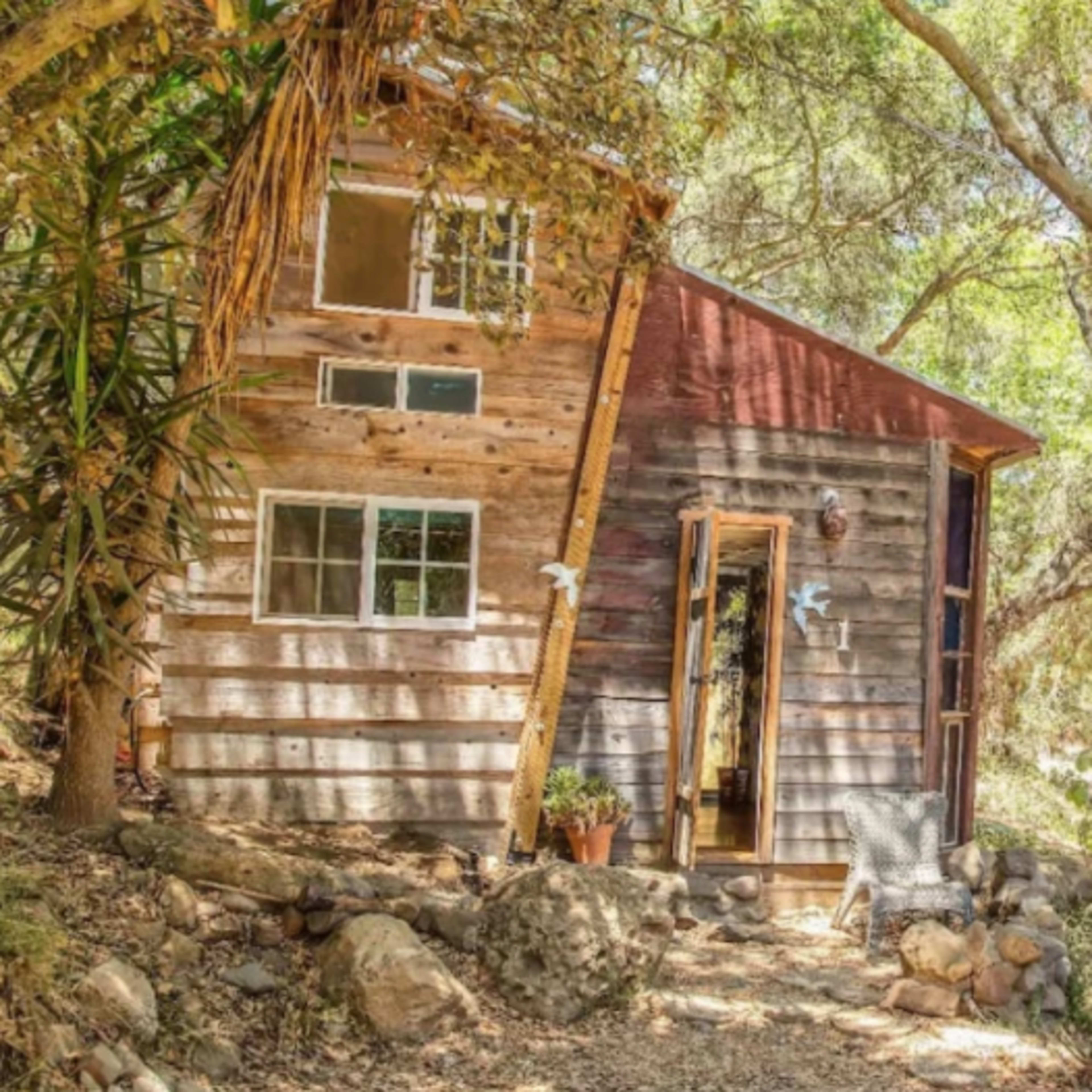 A small wooden cabin with a slanted roof is situated among trees and rocks in a natural setting.