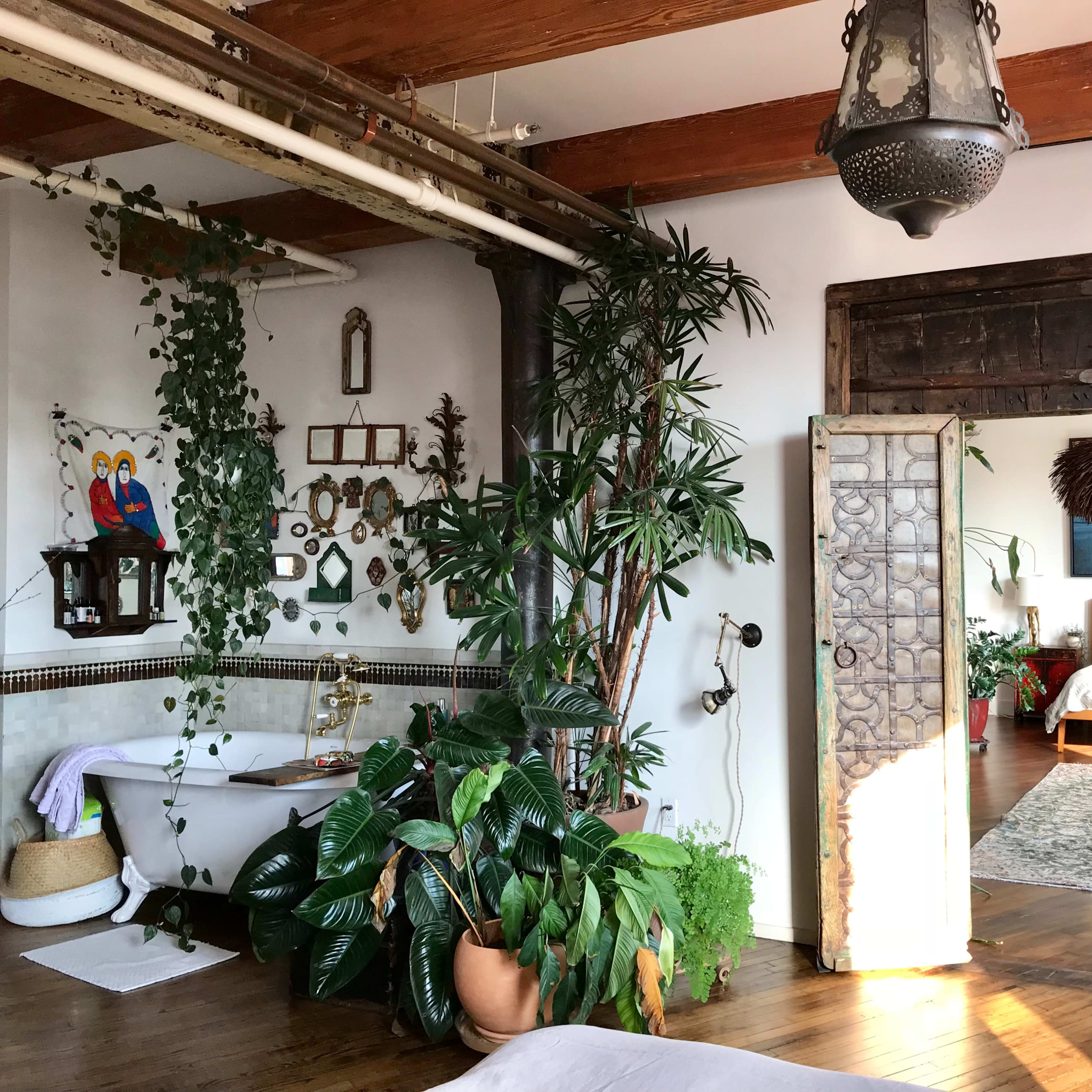 Gorgeous Lush Loft in Williamsburg Image in Williamsburg, Brooklyn, NY